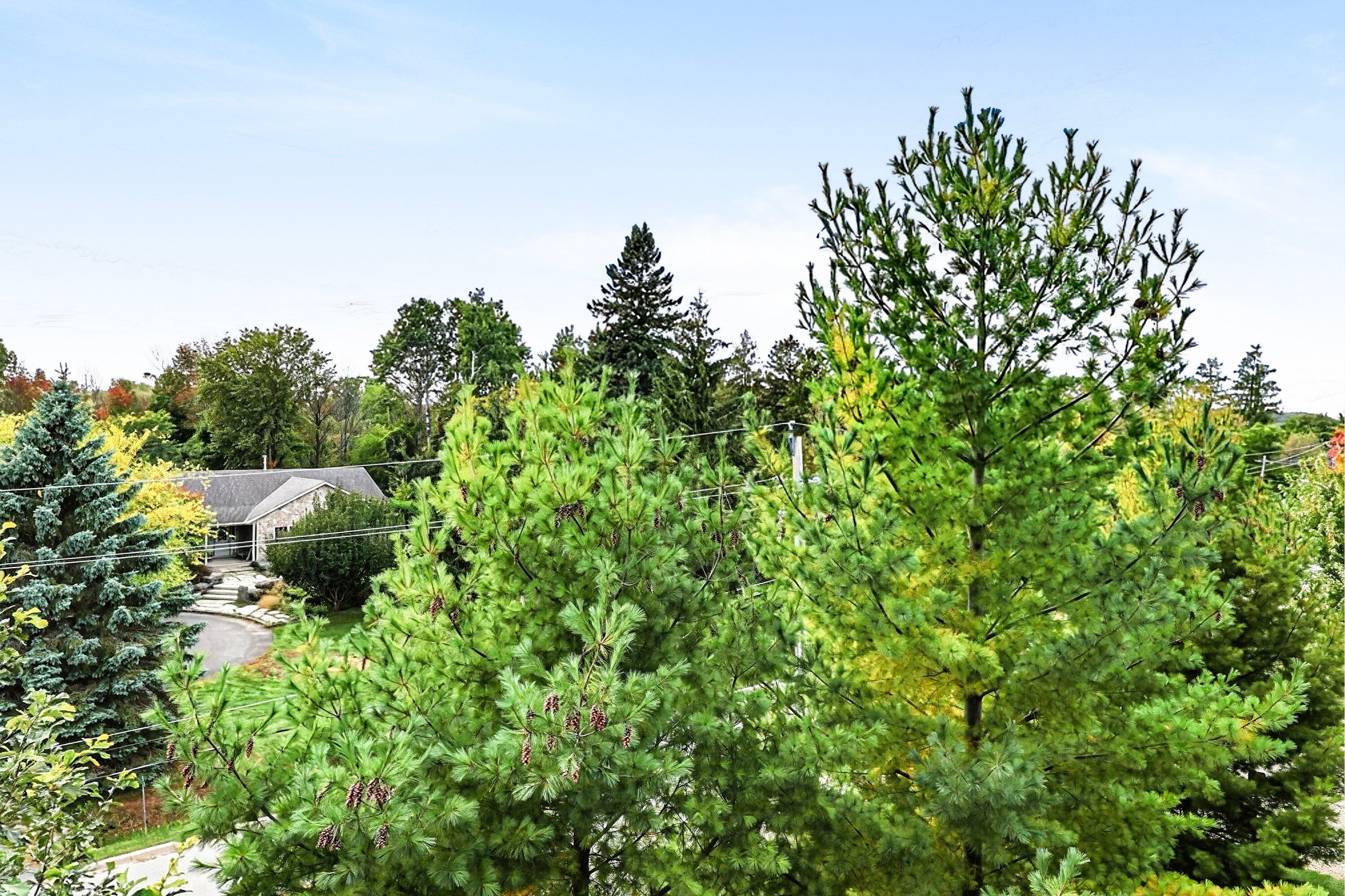  Charming Far Hills Condo - 物件實景