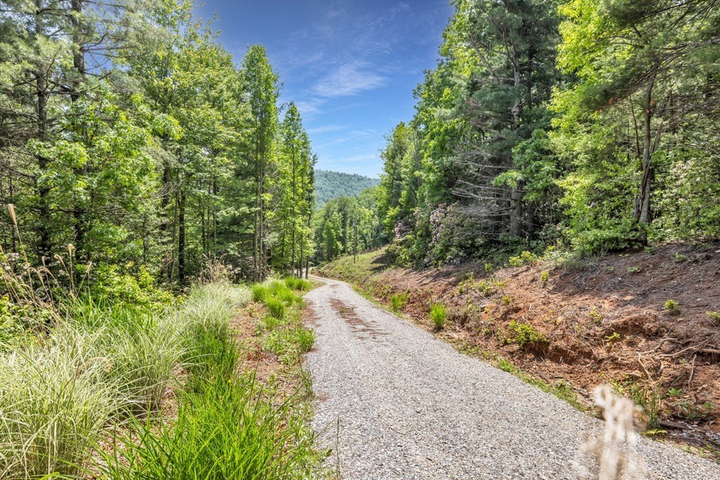Blairsville, Georgia, 30512, United States, ,Residential,For Sale,1824066