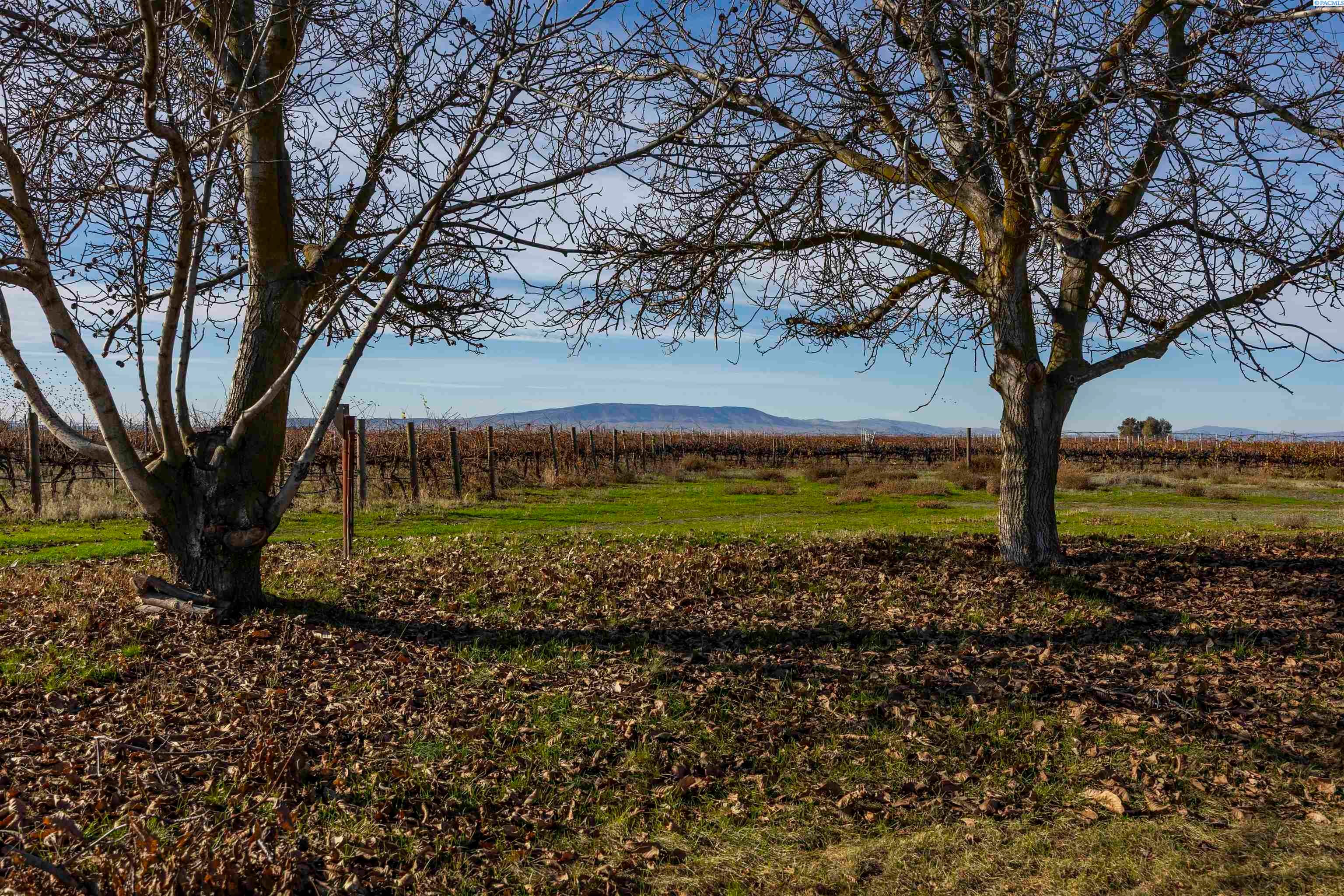 Pasco, Washington, 99301, United States, ,Residential,For Sale,1998040