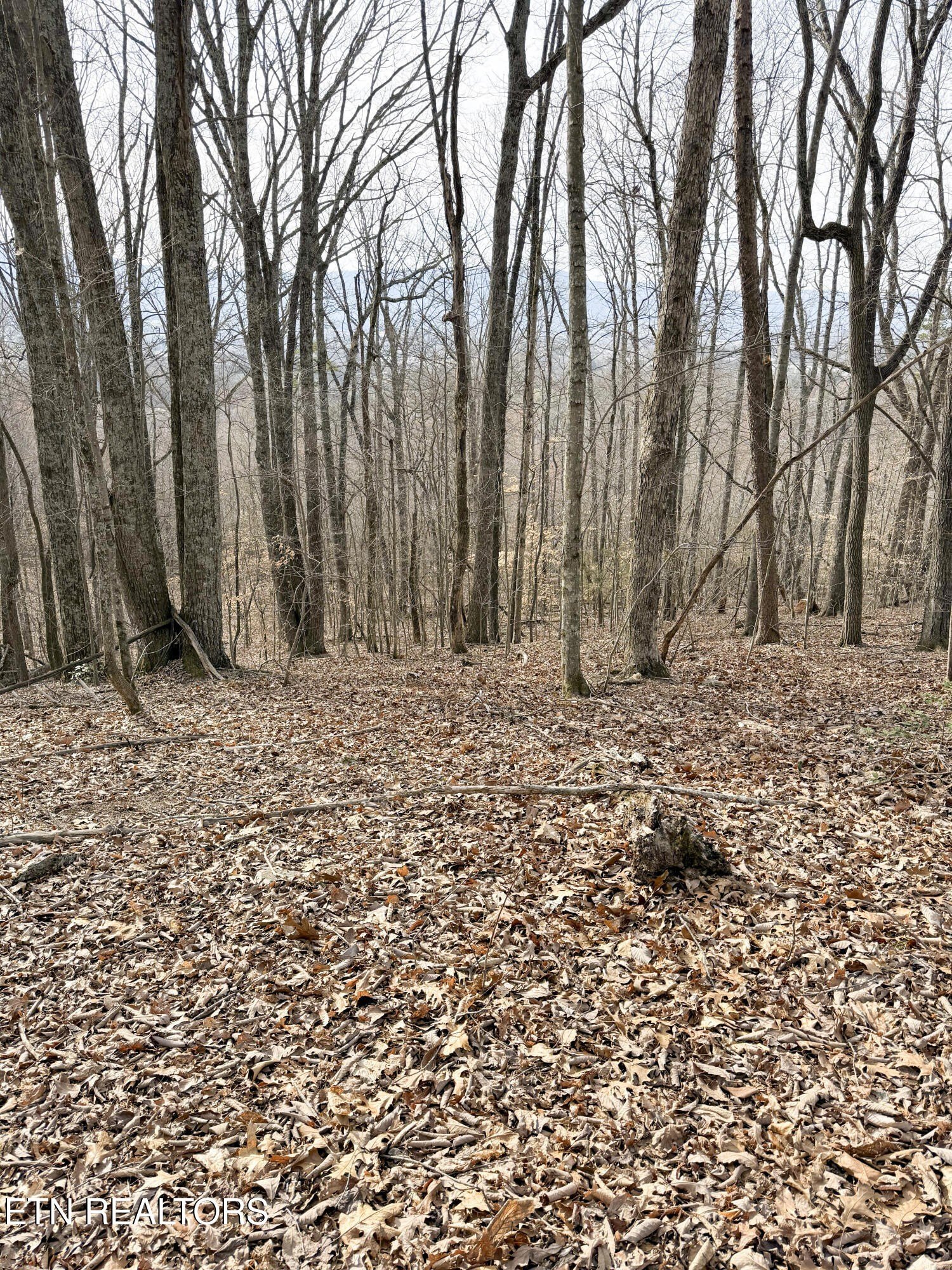 Pikeville, Tennessee, 37367, United States, ,Land,For Sale,1975616