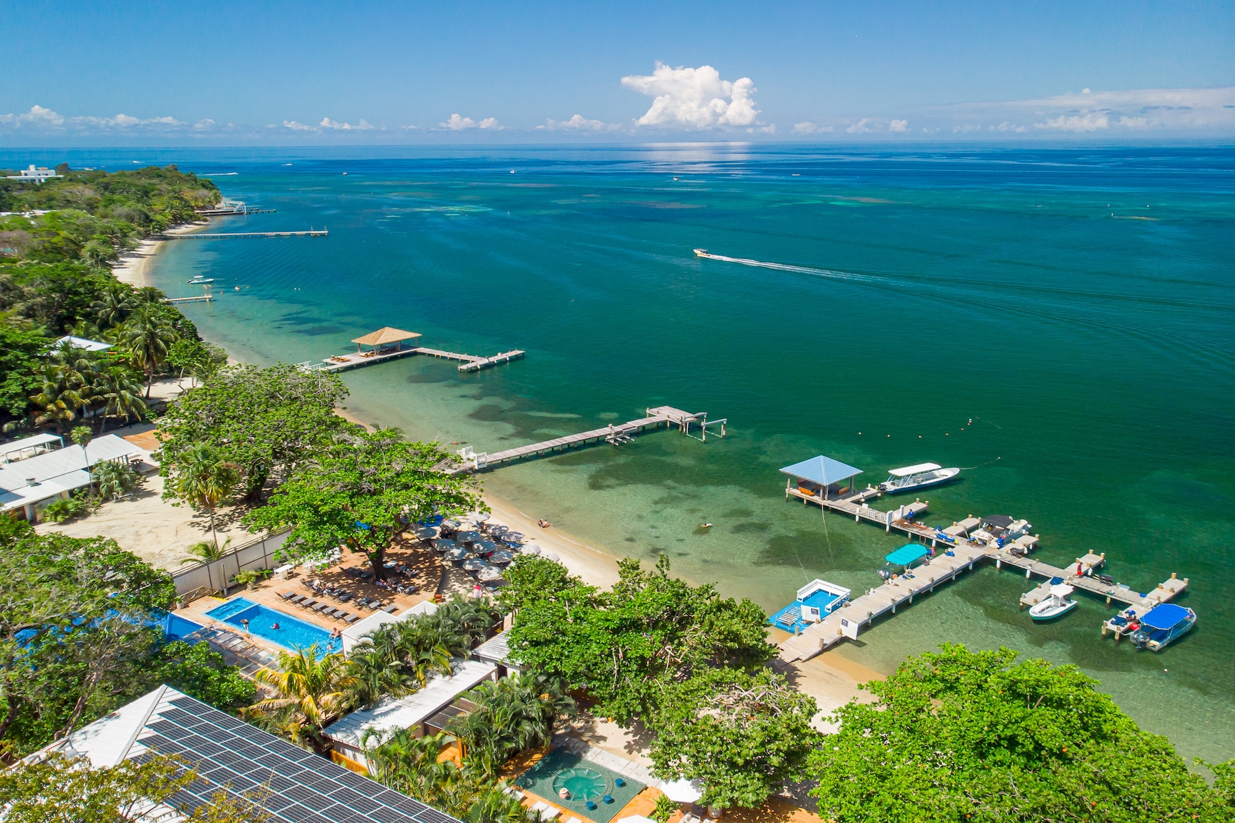 B1 Blue Roatan Condominium, Between West End & West Bay - 物件實景