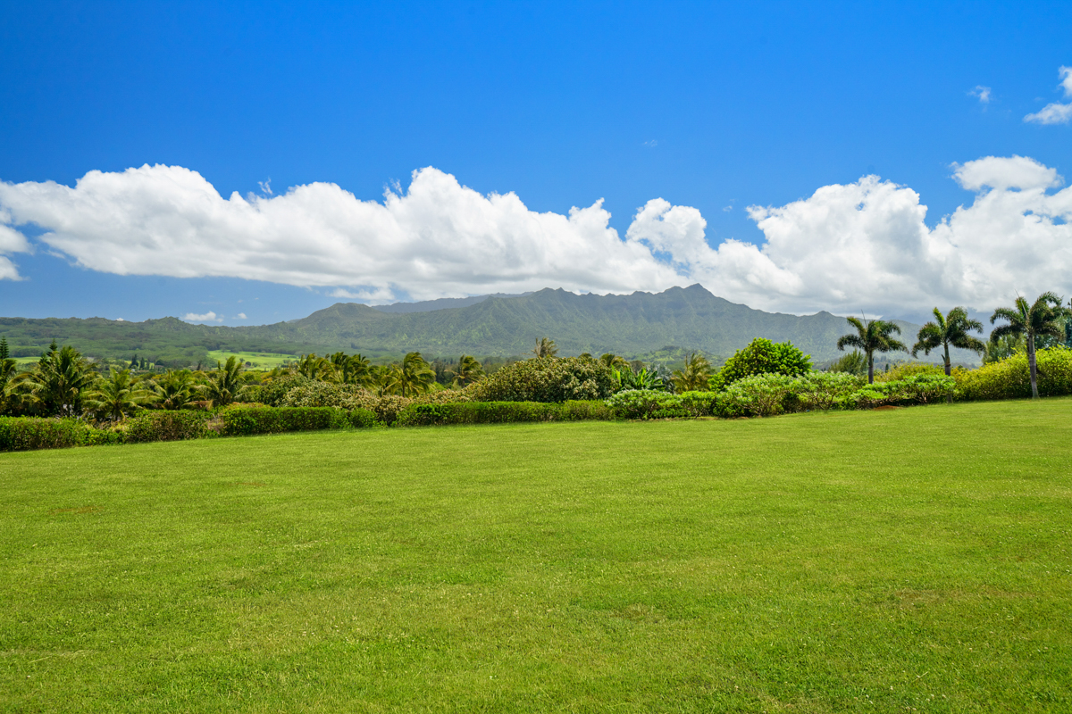 Kilauea, Hawaii, 96754, United States, ,Land,For Sale,1849730