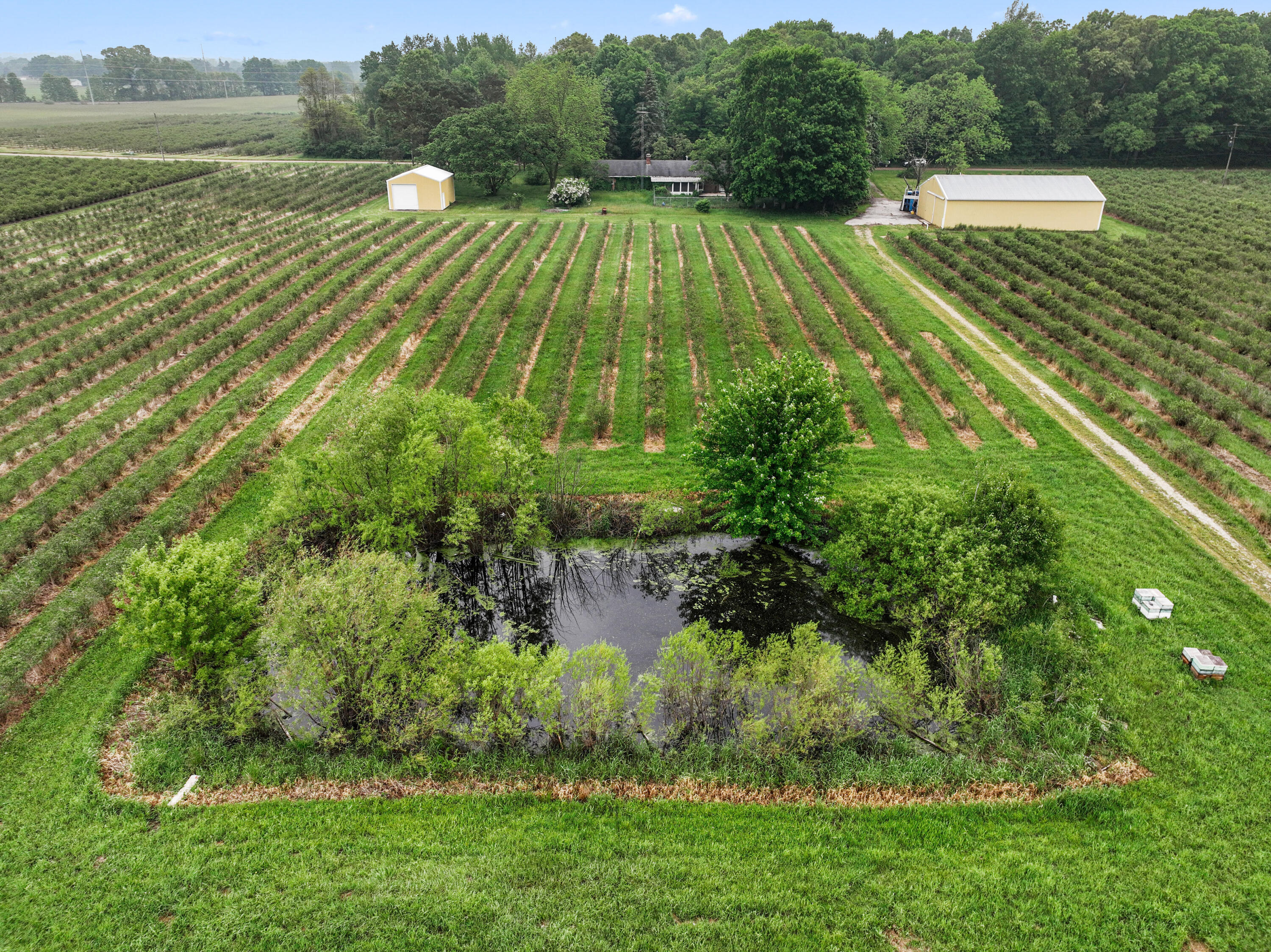 Benton Harbor, Michigan, 49022, United States, ,Land,For Sale,1848947