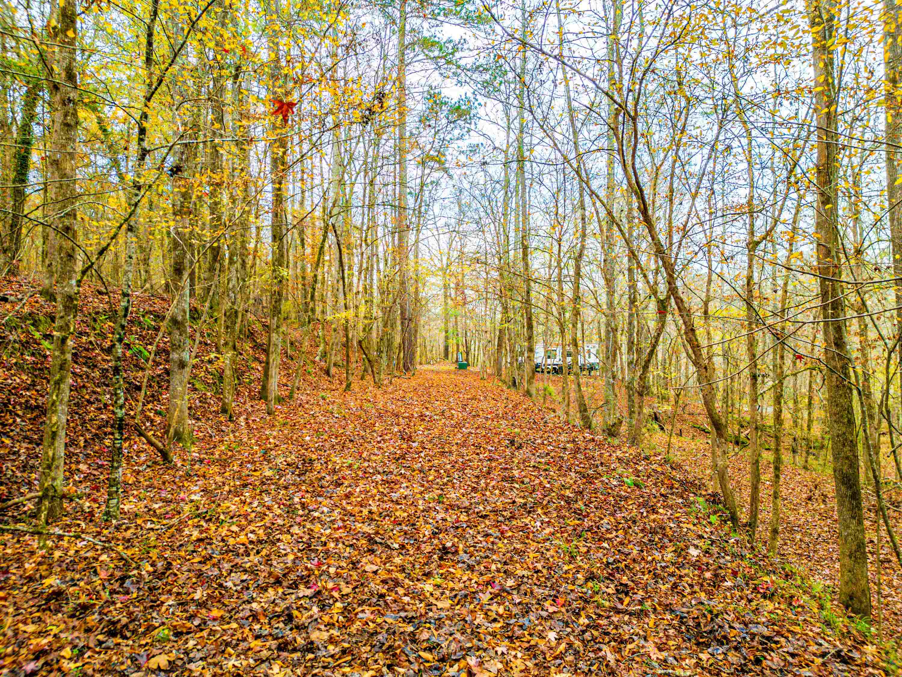6.04 ac LINCHBURG ROAD, Eatonton, Georgia, 31024, United States, ,Land,For Sale,6.04 ac LINCHBURG ROAD,1683255
