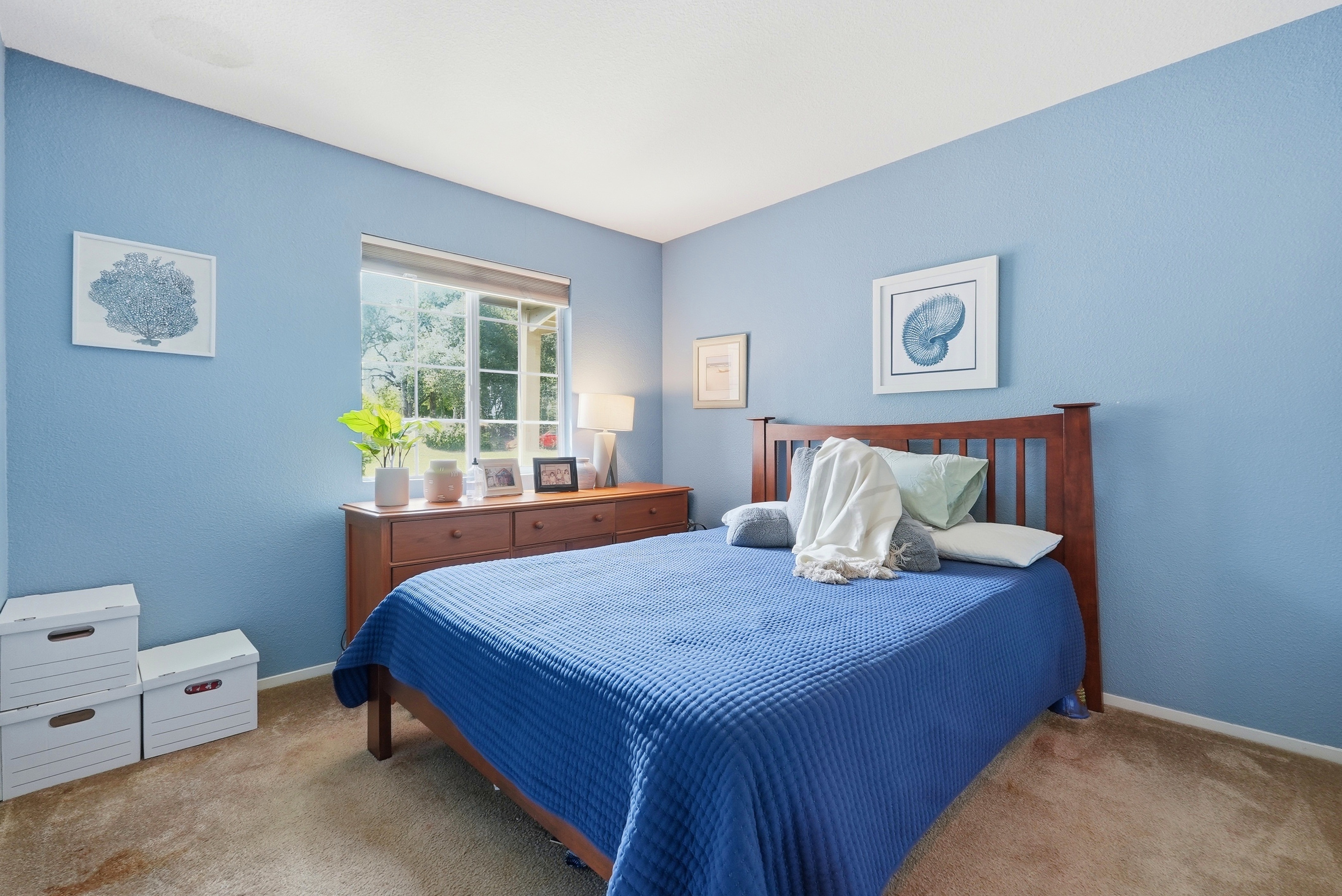  3376 Alyssum Circle, El Dorado Hills, CA 95762 - 物件實景