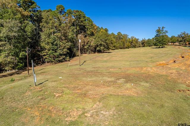 Winona, Texas, 75792, United States, 4 Bedrooms Bedrooms, ,2 BathroomsBathrooms,Residential,For Sale,1995143