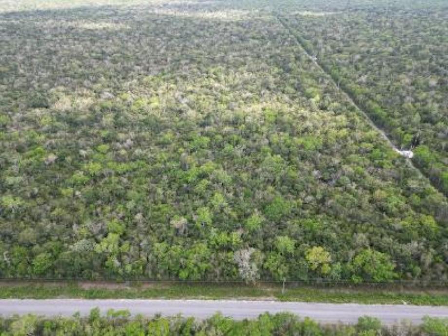 Quintana Roo Puerto Morelos - Leona Vicario, Puerto Morelos, Quintana Roo, 77580, Mexico, 1 Bedroom Bedrooms, ,1 BathroomBathrooms,Residential,For Sale,Quintana Roo Puerto Morelos - Leona Vicario,1640742