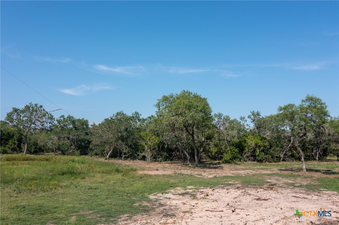 Yorktown, Texas, 78164, United States, ,Land,For Sale,1858167