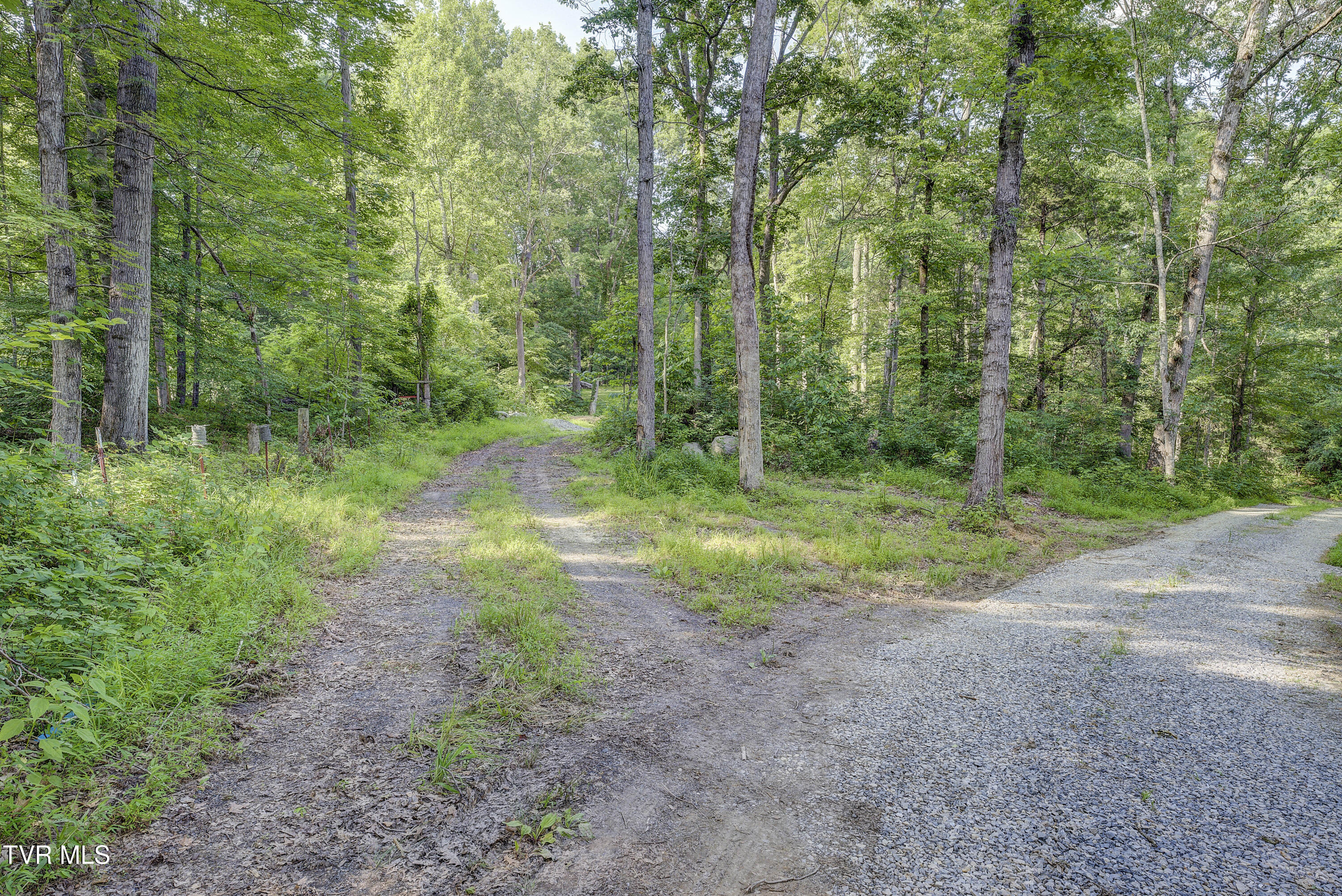 Piney Flats, Tennessee, 37686, United States, ,Land,For Sale,1983828