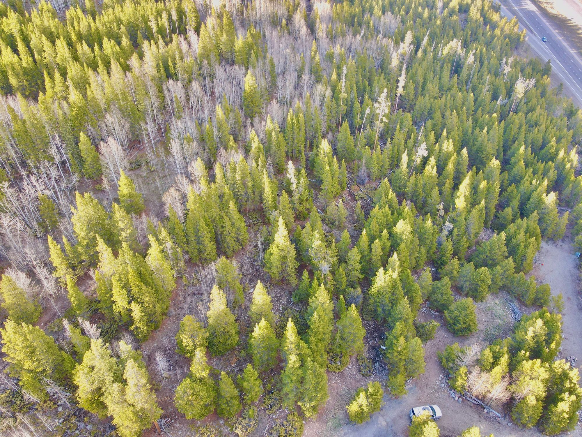  Giberson Preserve Lot 9 - 物件實景