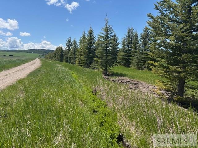 RIRIE, Idaho, 83443, United States, ,Residential,For Sale,1974893