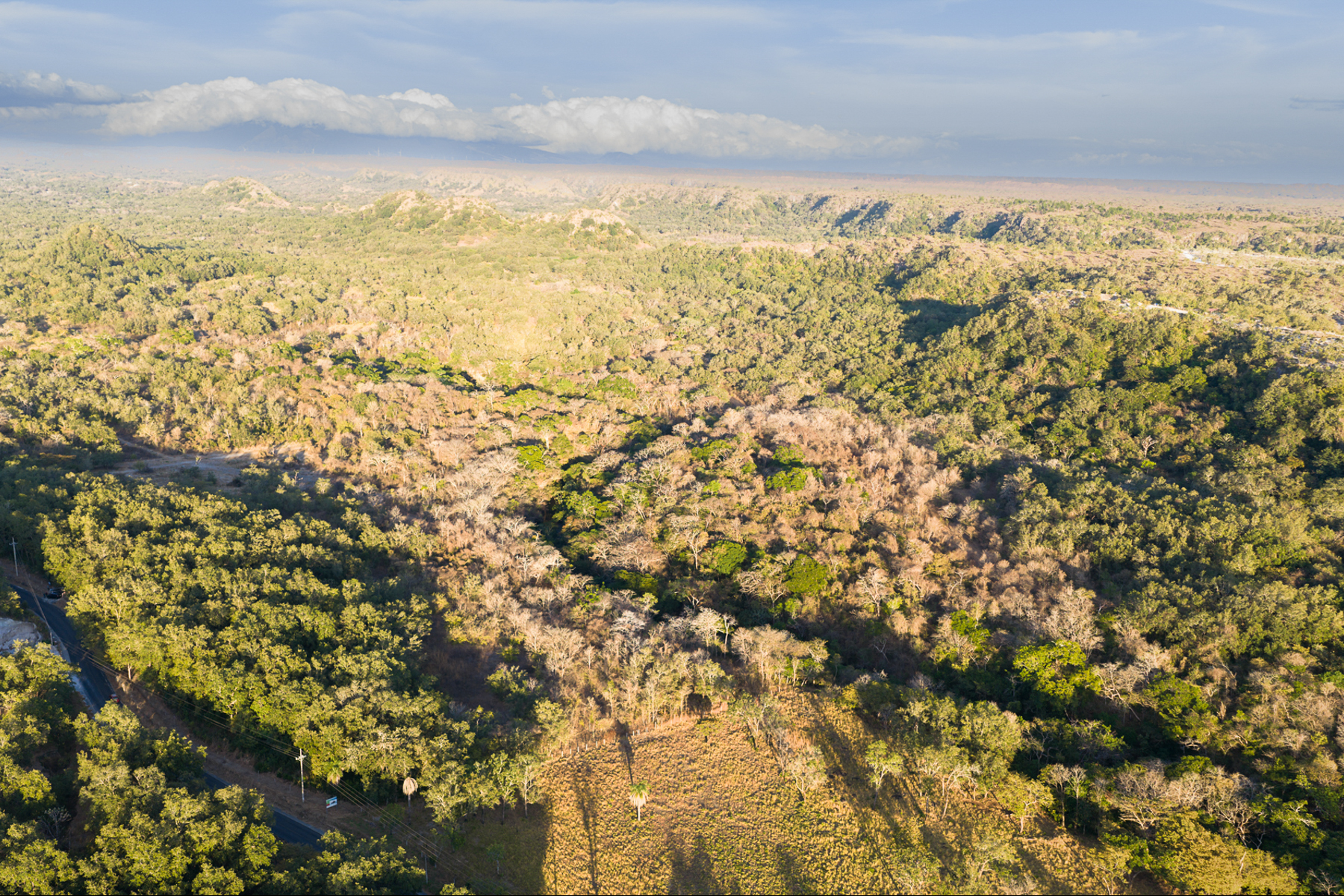  Curubande River Forest Treasure - 物件實景