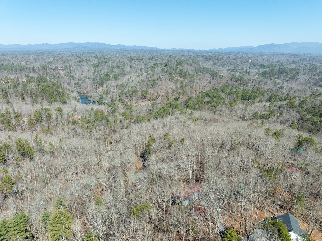 Ellijay, Georgia, 30540, United States, 4 Bedrooms Bedrooms, ,4 BathroomsBathrooms,Residential,For Sale,1858933