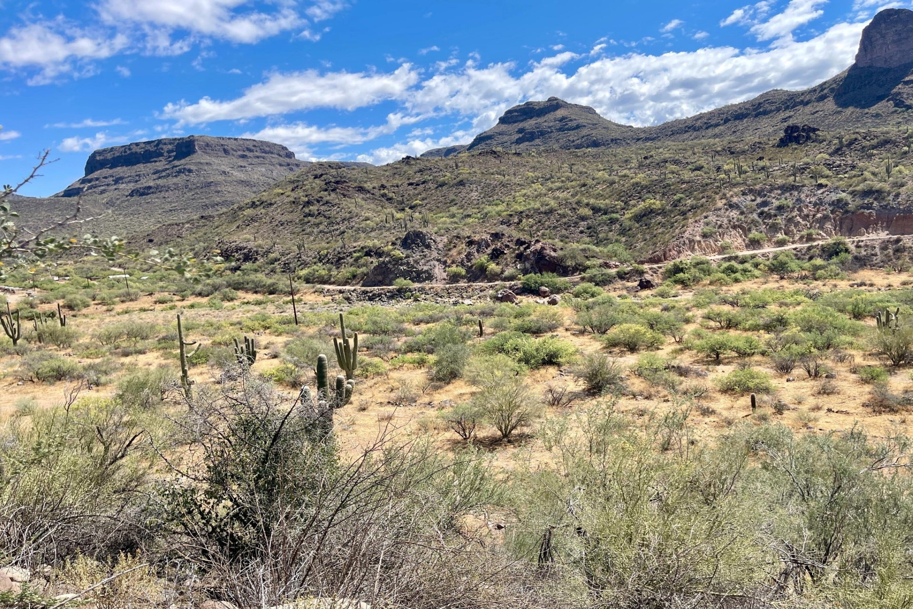  31900 S Tillys Trail¦Black Canyon City, AZ - 物件實景