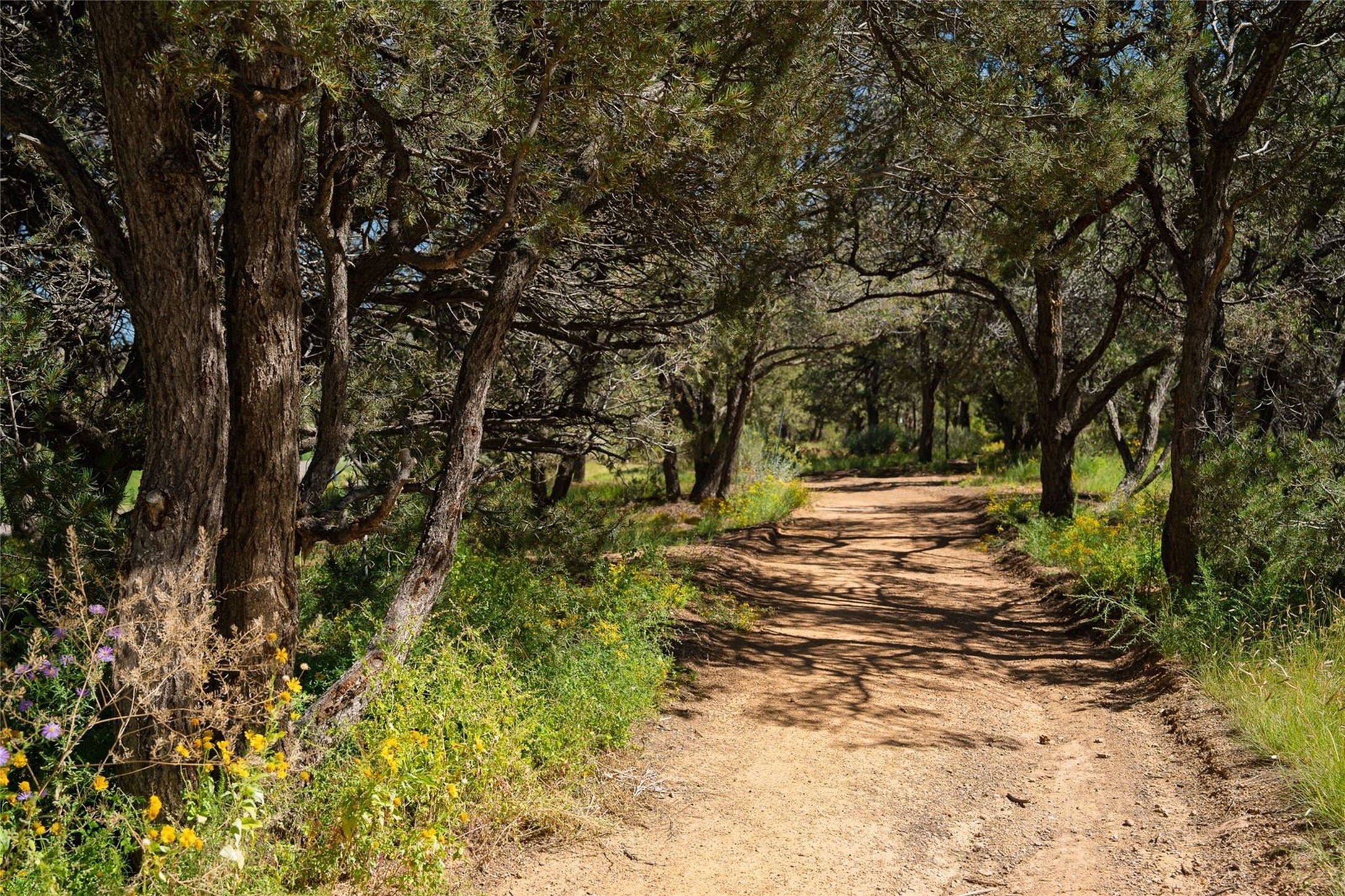  3101 Old Pecos Trail #905 - 物件實景