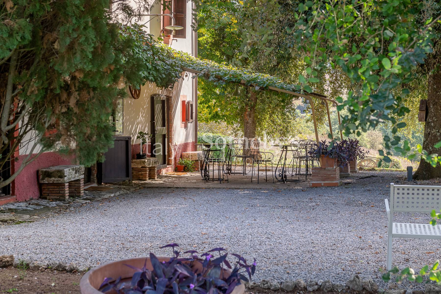  Charming Country Estate with Pool and Olive Grove in Maremma - 物件實景