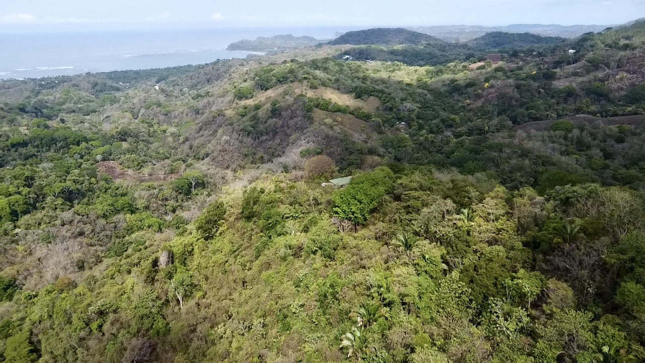 Samara, Guanacaste, CR, ,Land,For Sale,1838458
