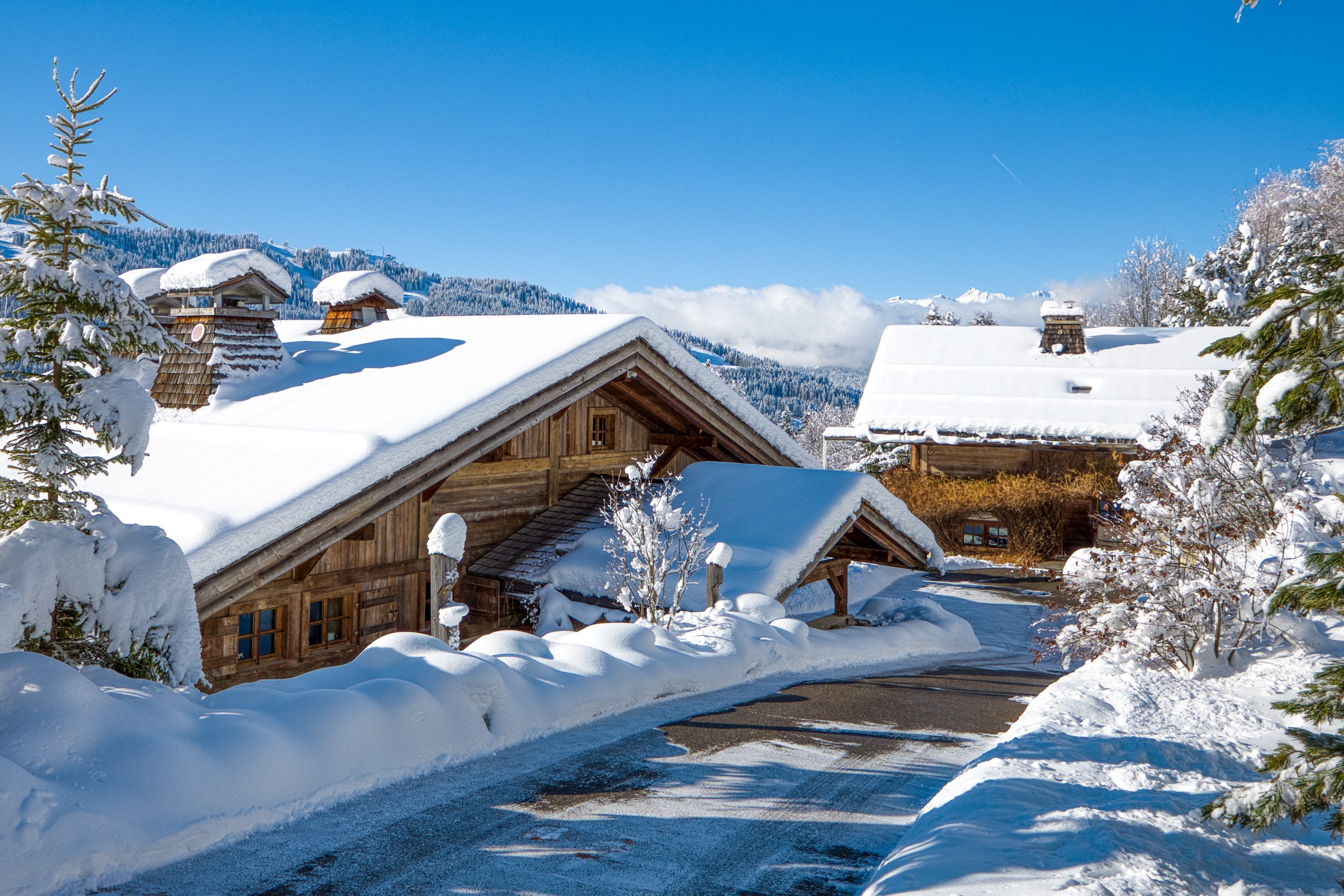  Domaine Épervier - Two connected chalets on a 20,000 m² plot - 物件實景