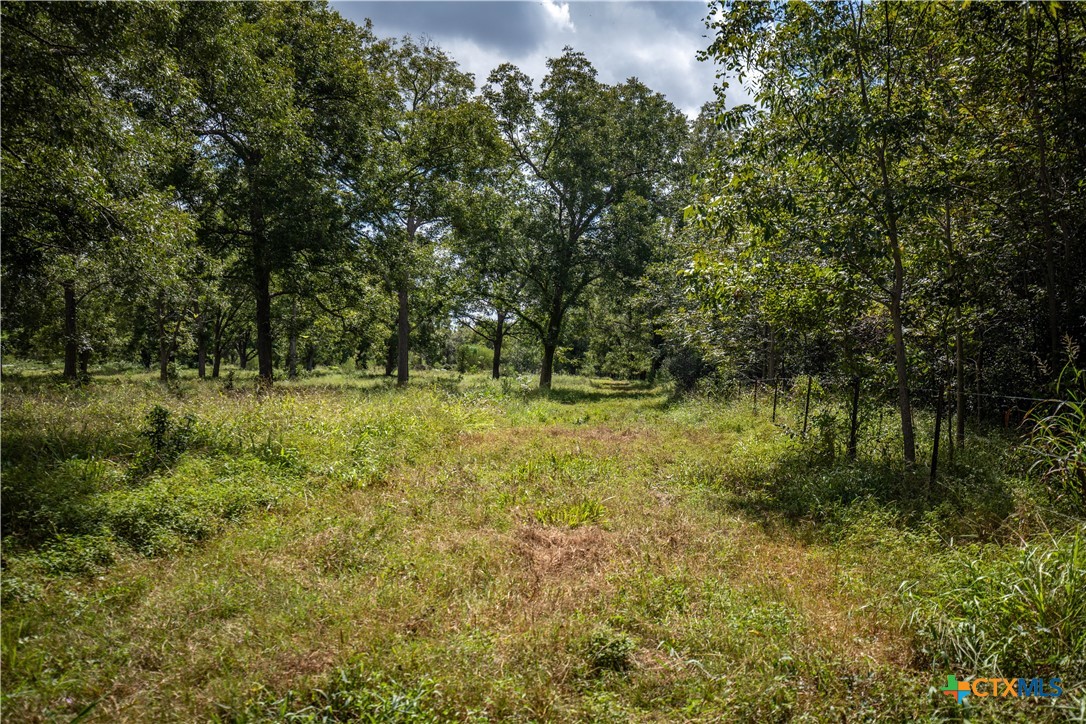 Cuero, Texas, 77954, United States, ,Residential,For Sale,1949163