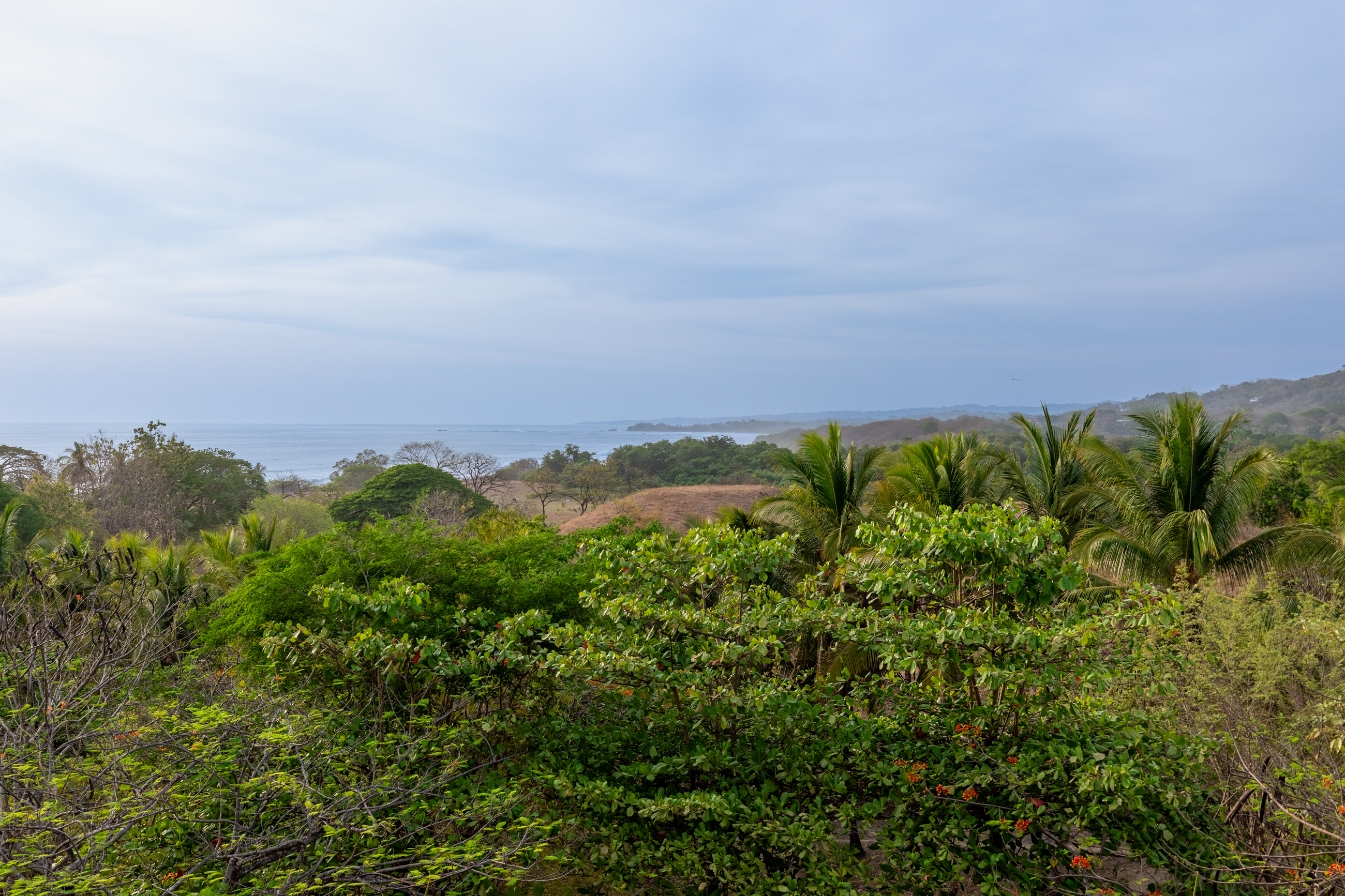 Nosara, Guanacaste, CR, 16 Bedrooms Bedrooms, ,9 BathroomsBathrooms,Residential,For Sale,1587974