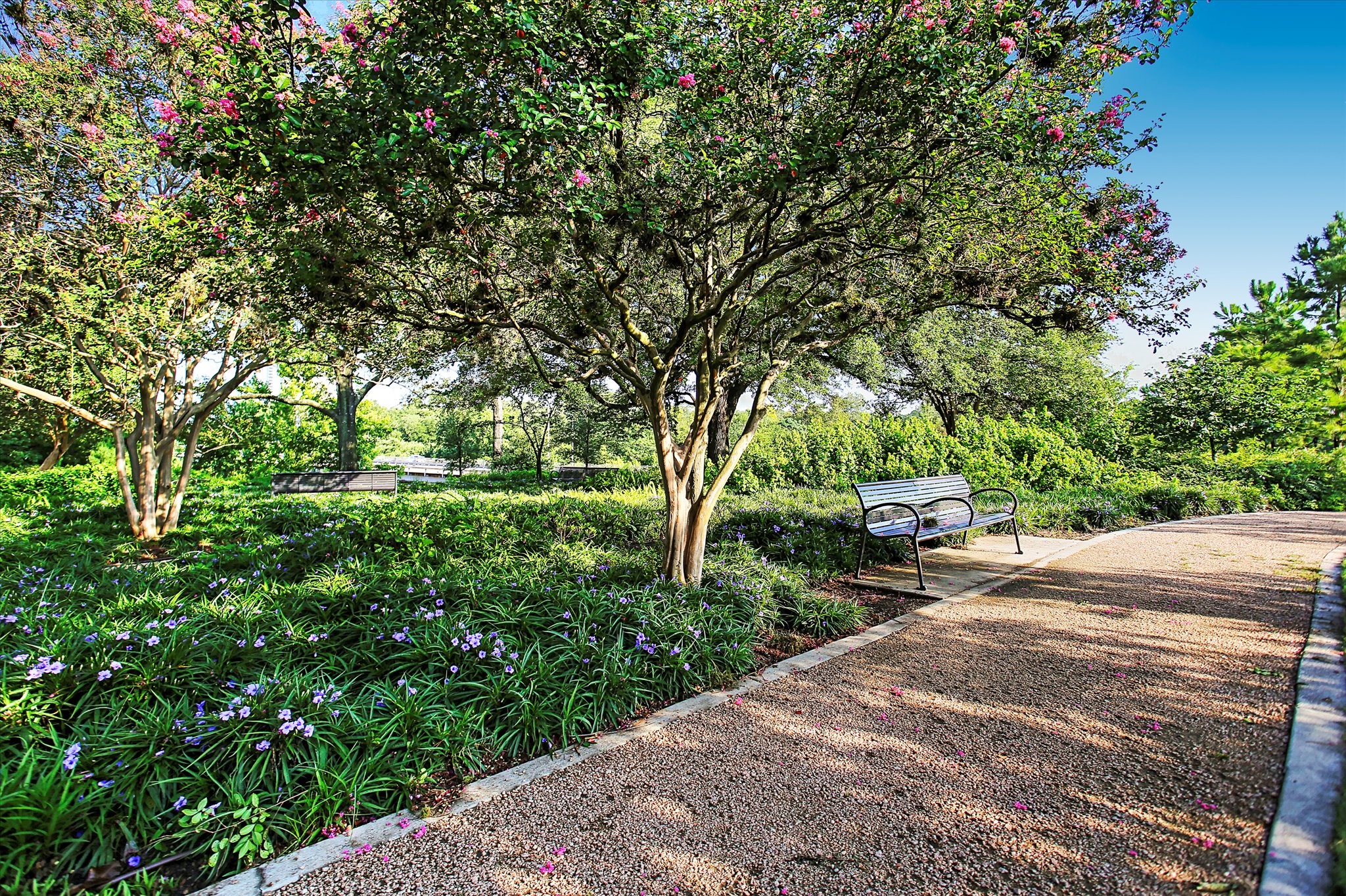 1903 Greenwich Place Drive - 物件實景