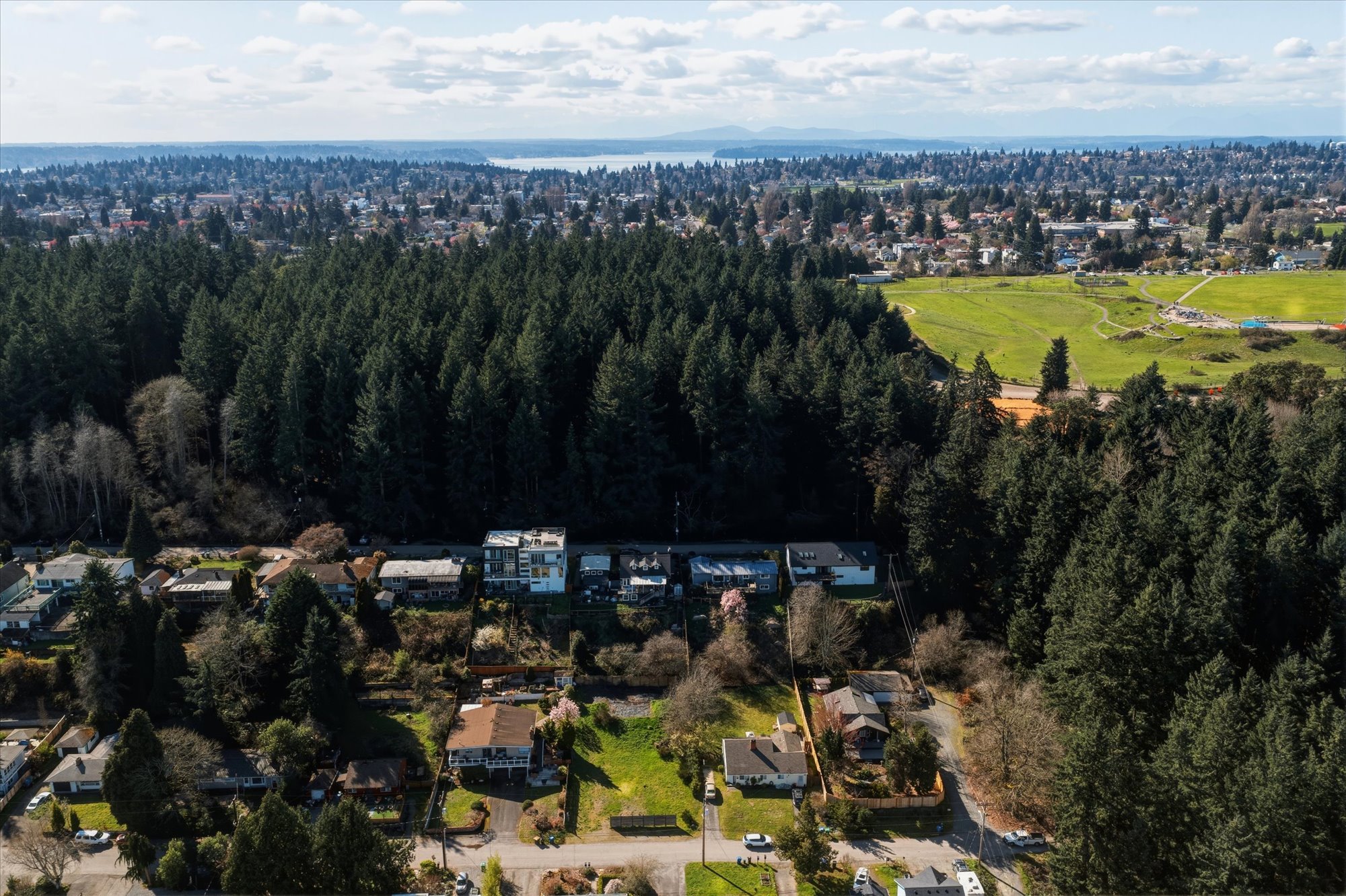  9017 3rd Avenue Southwest, Seattle, WA 98106 - 物件實景