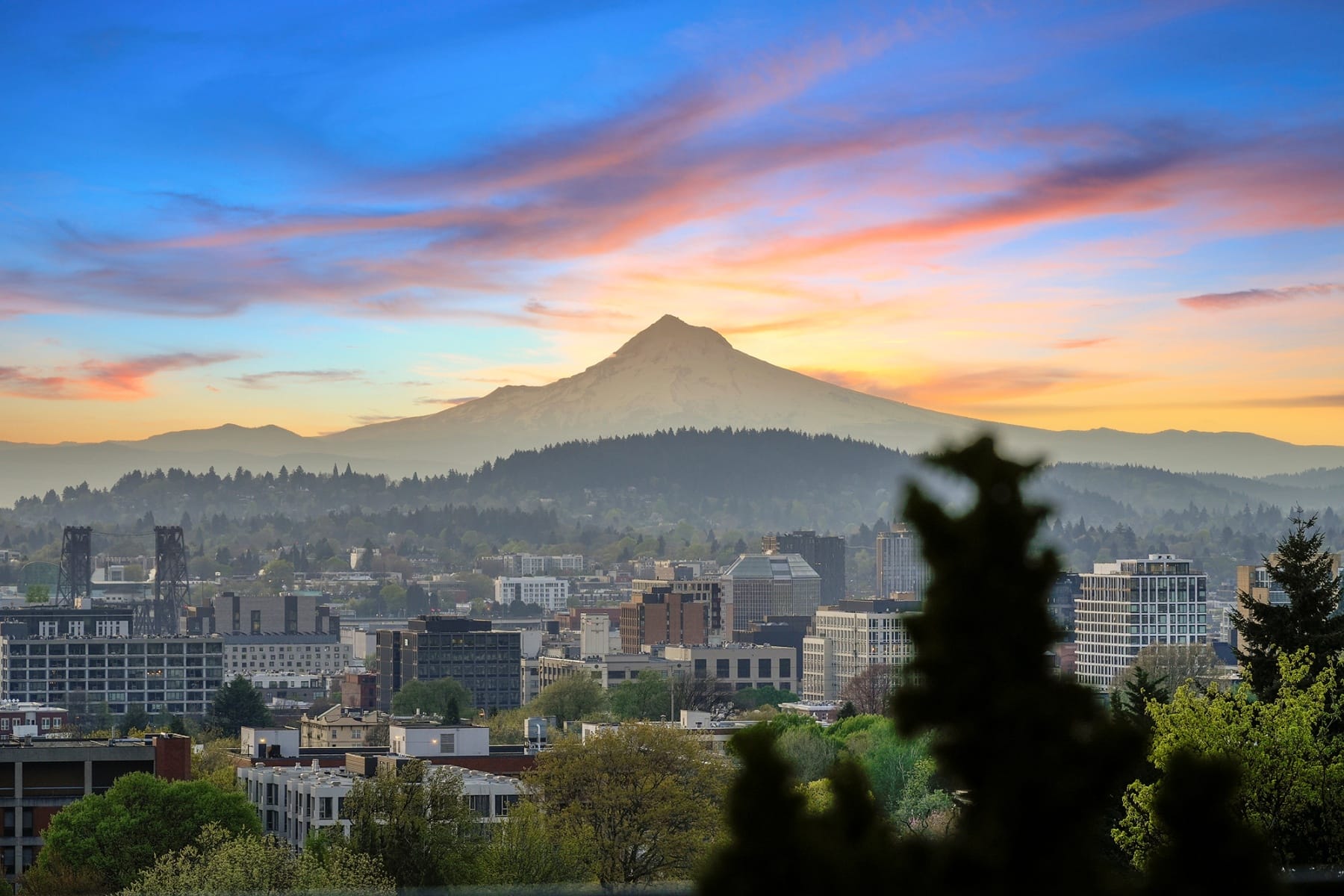  1122 NW SUMMIT AVE Portland, OR 97210 - 物件實景