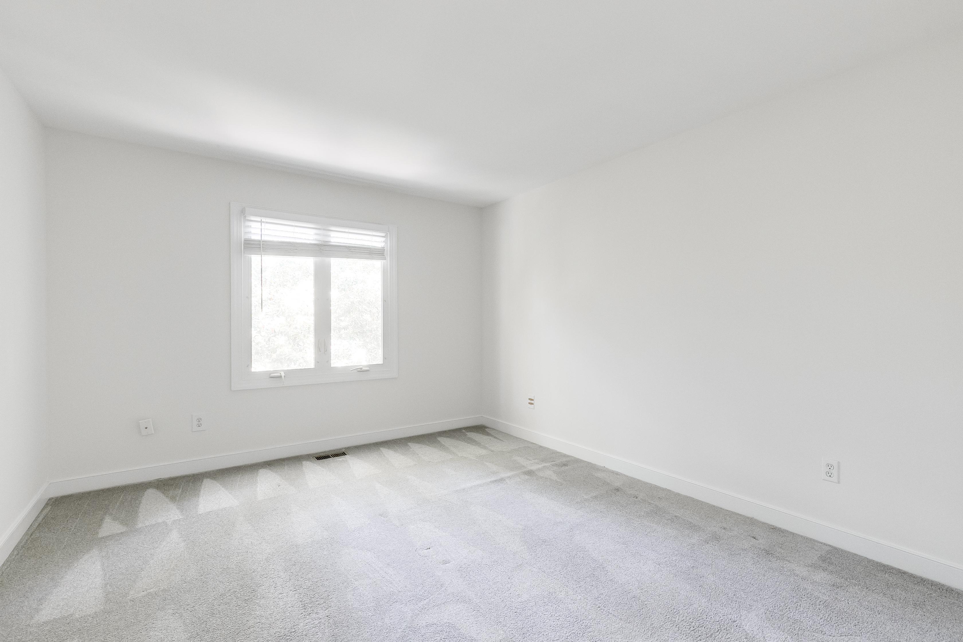  1903 Shady Branch Trail, Richmond, VA 23238 - 物件實景