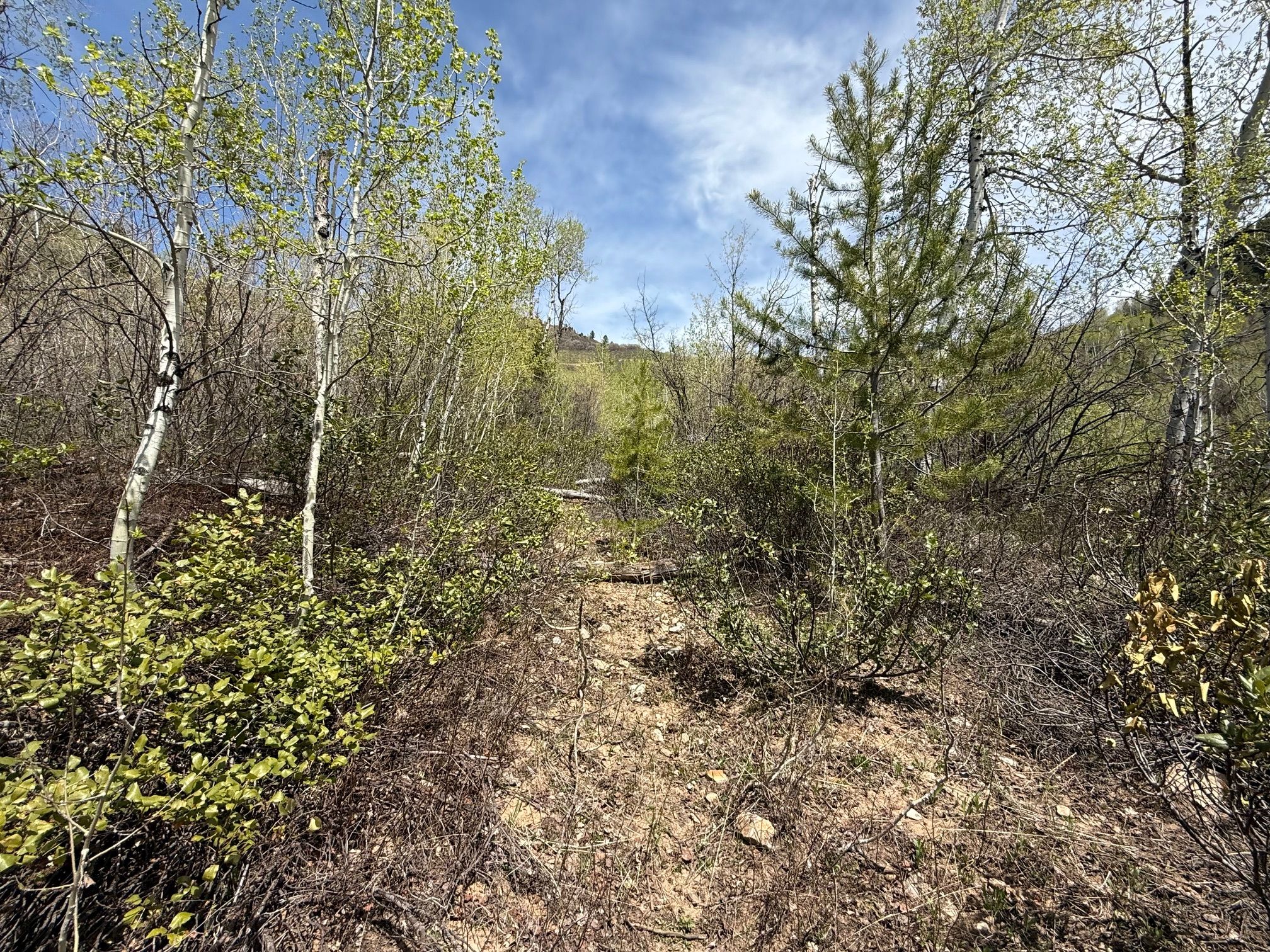  Property Overlooking the Palisades Reservoir - 物件實景
