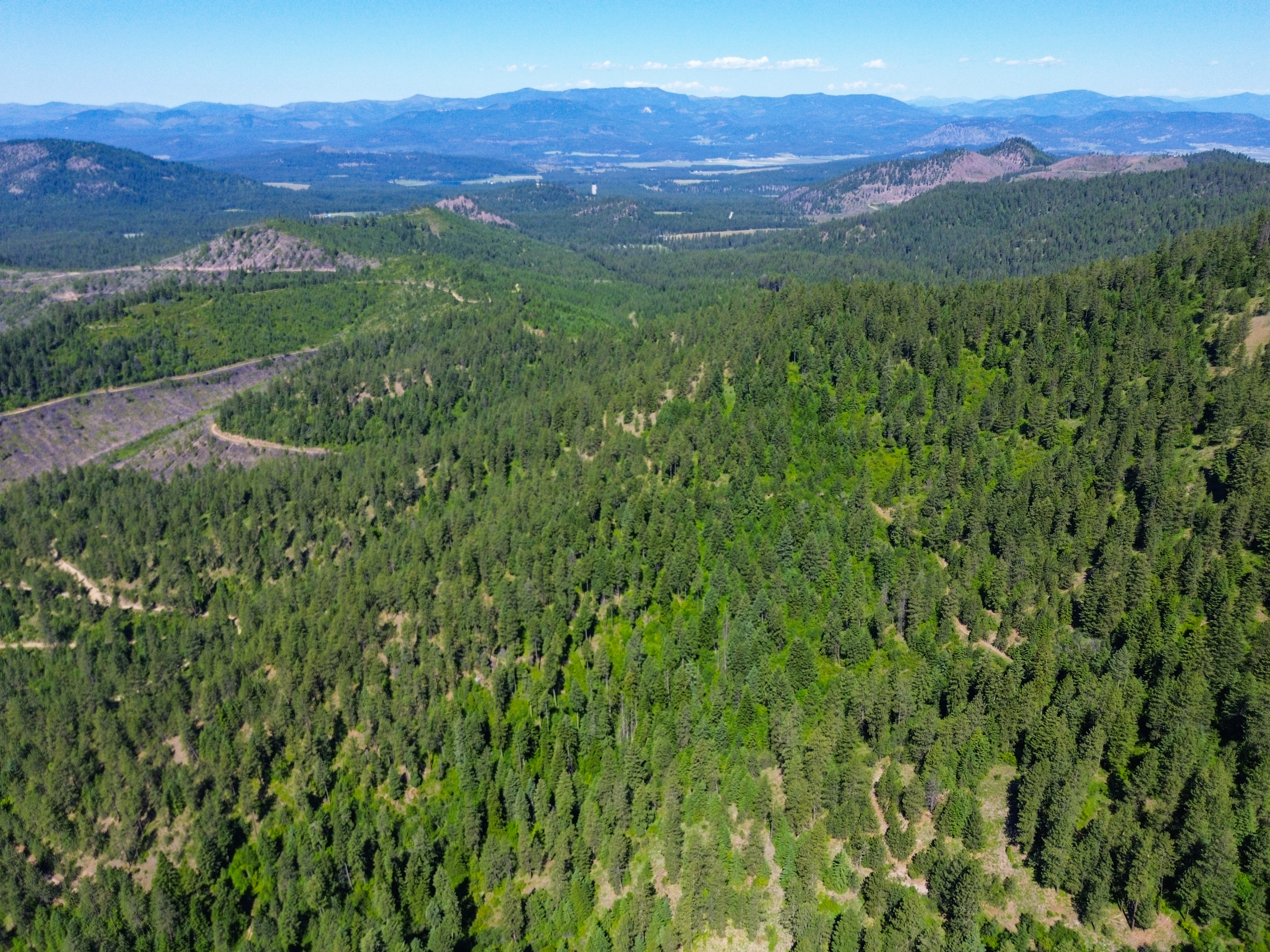 Loon Lake, Washington, 99148, United States, ,Residential,For Sale,1922836