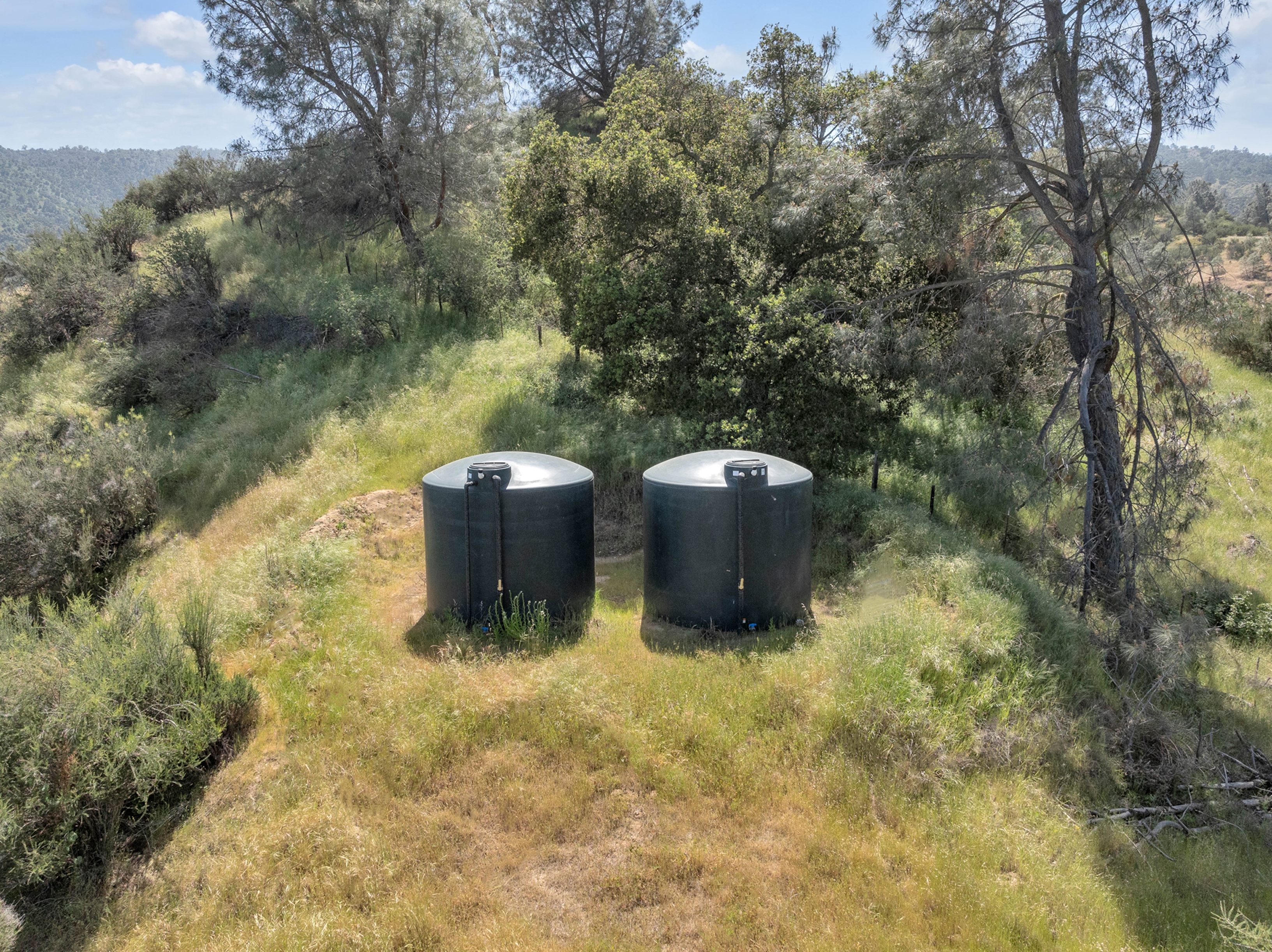  770 Limekiln Road - 物件實景