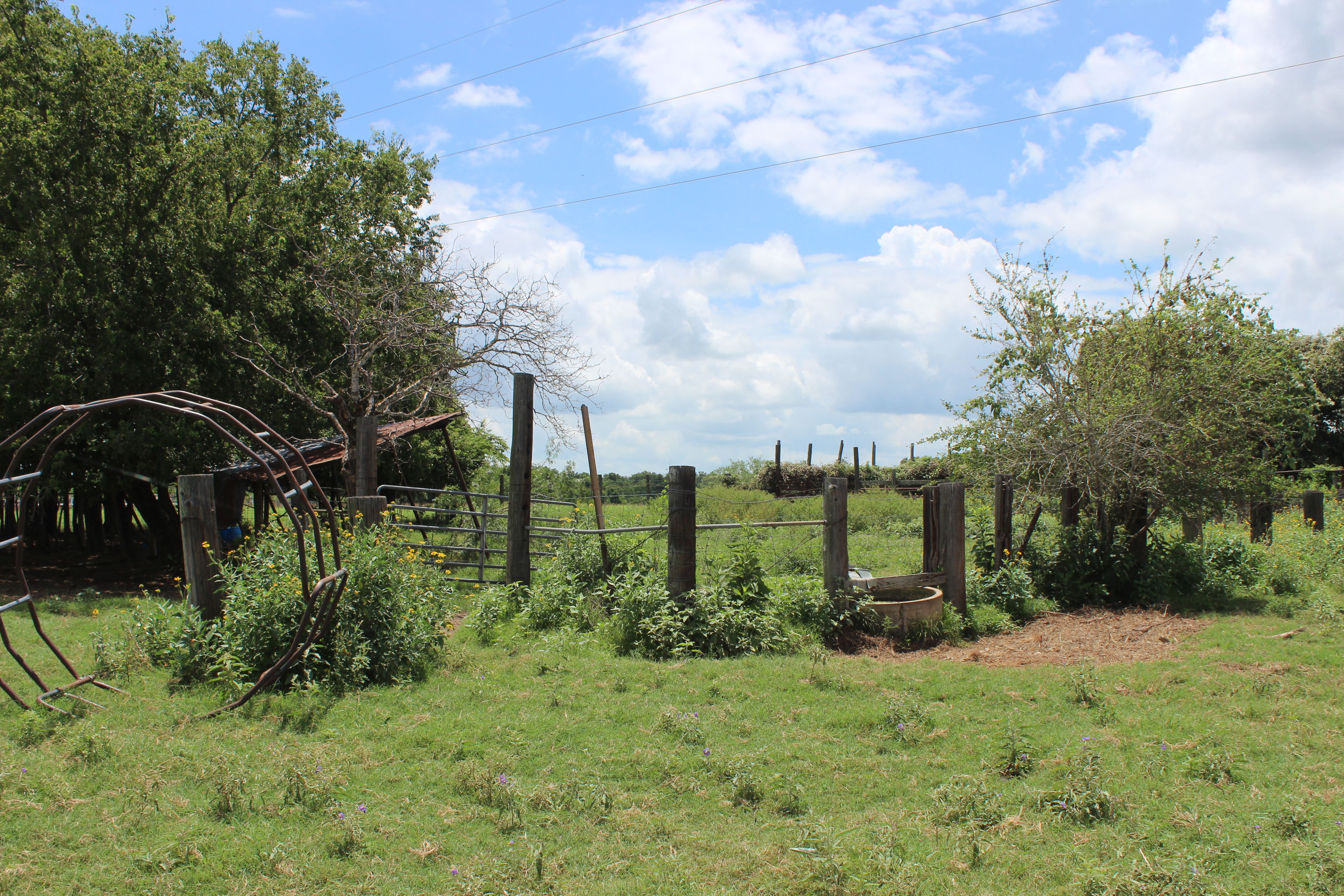 Buck Branch Ranch - 物件實景