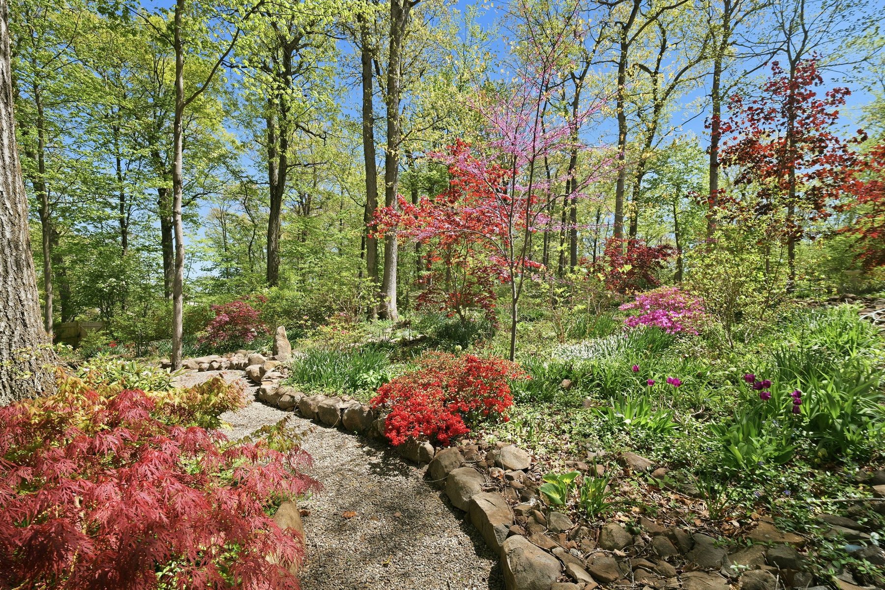  Beautifully Renovated Colonial is a Garden Lover