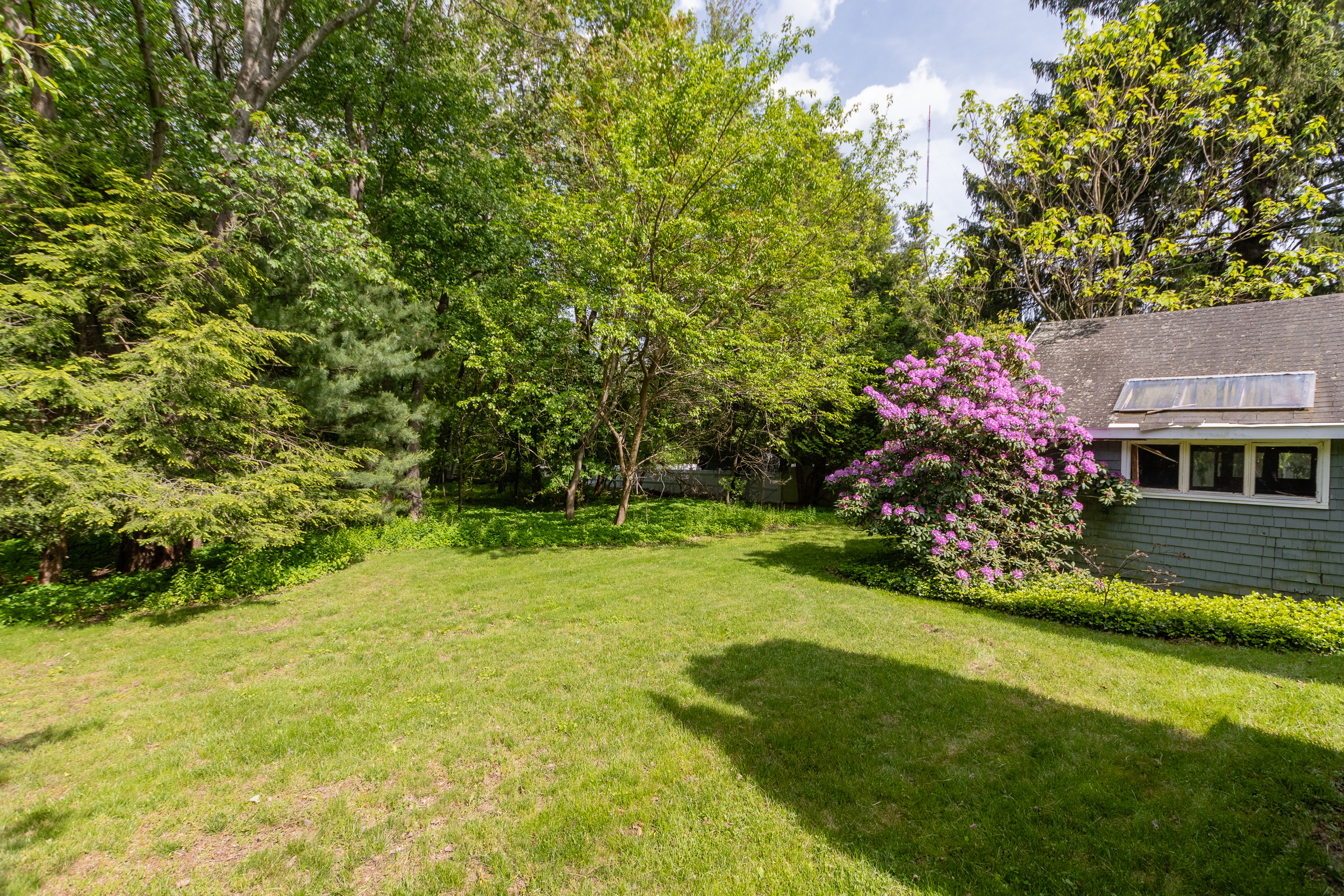  6 Willow Street, Wellesley, MA, 02481 - 物件實景