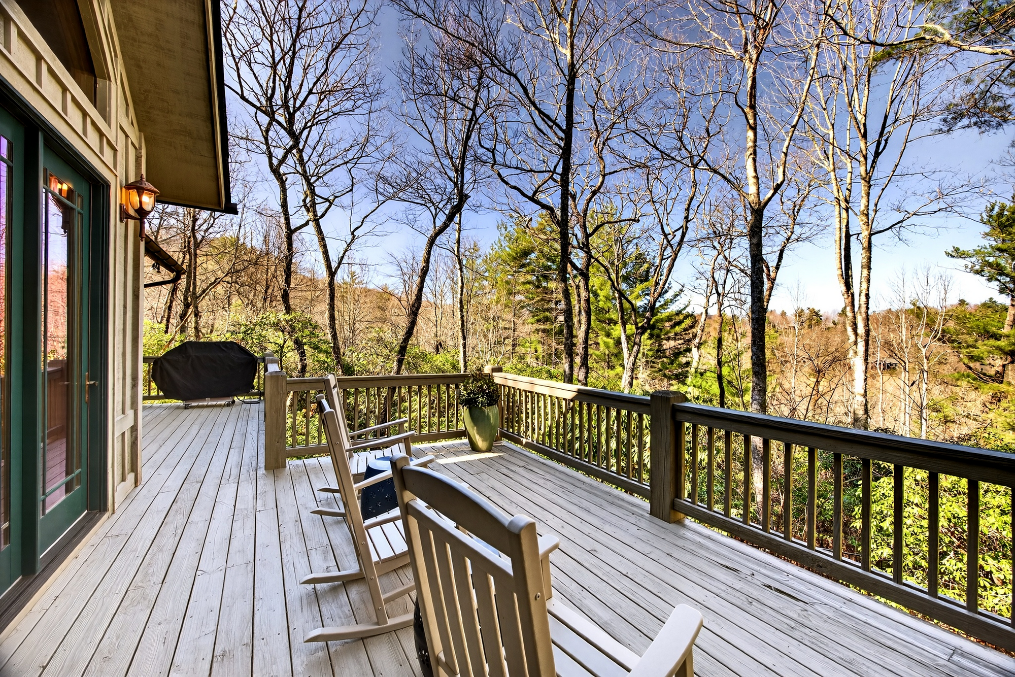  161 Chestnut Trace - 物件實景