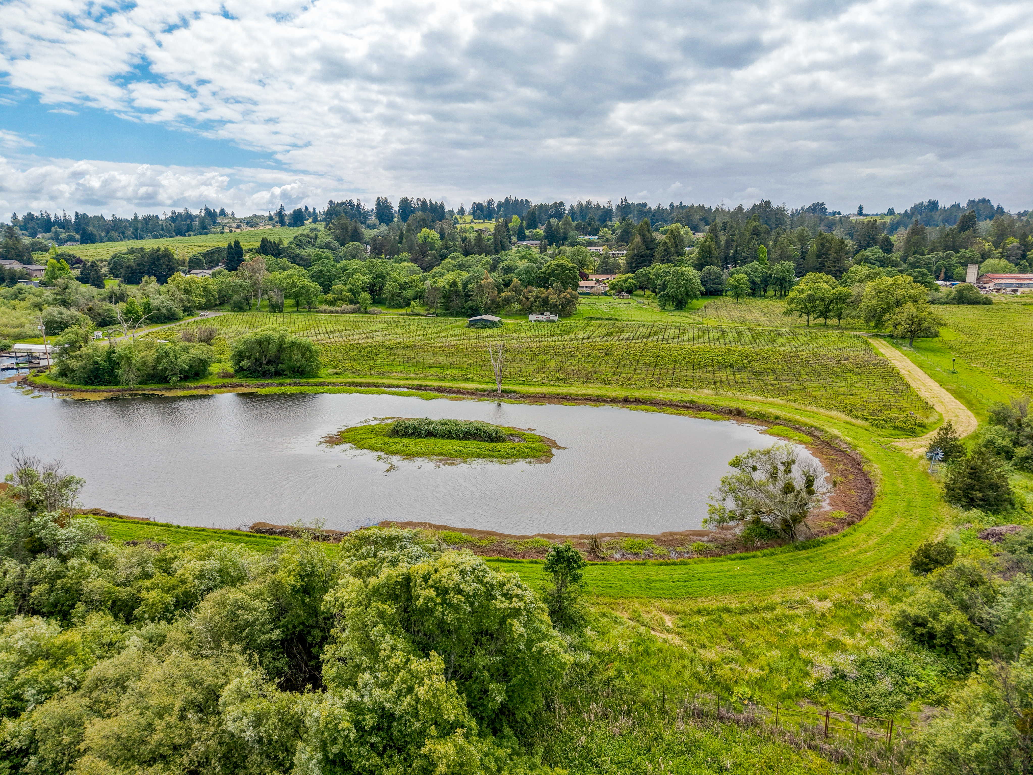 9700 Mill Station Road, Sebastopol, CA 95472 - 物件實景