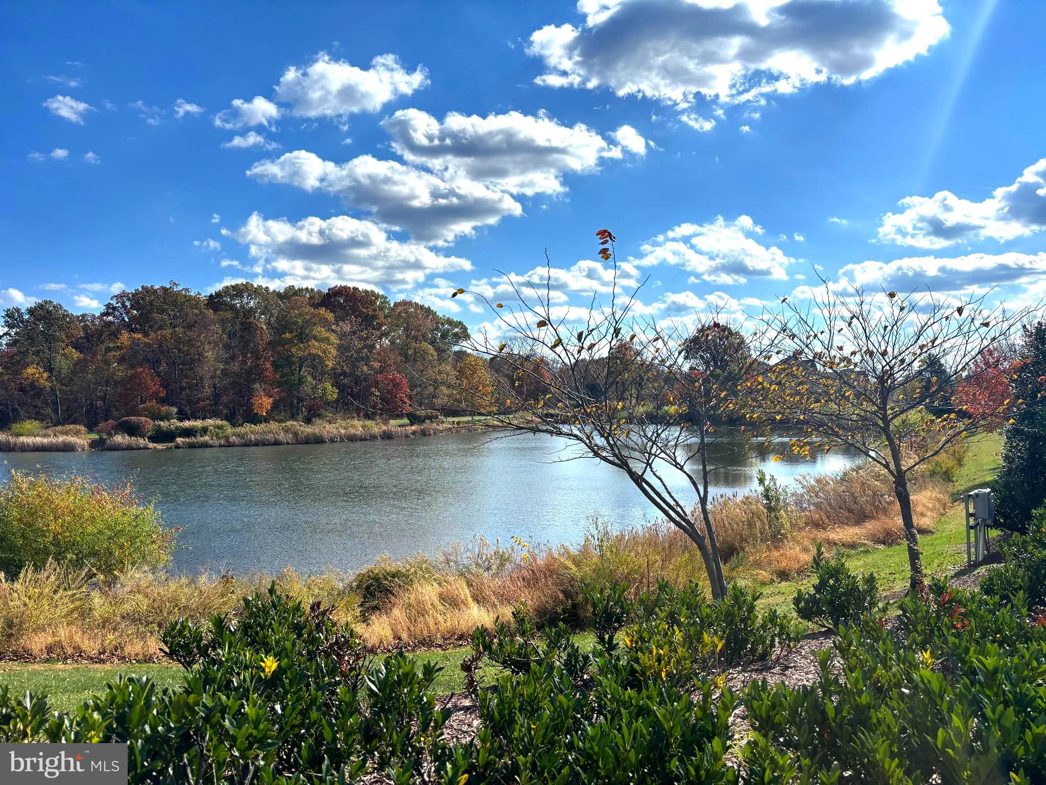 Aldie, Virginia, 20105, United States, 5 Bedrooms Bedrooms, ,5 BathroomsBathrooms,Residential,For Sale,1987386