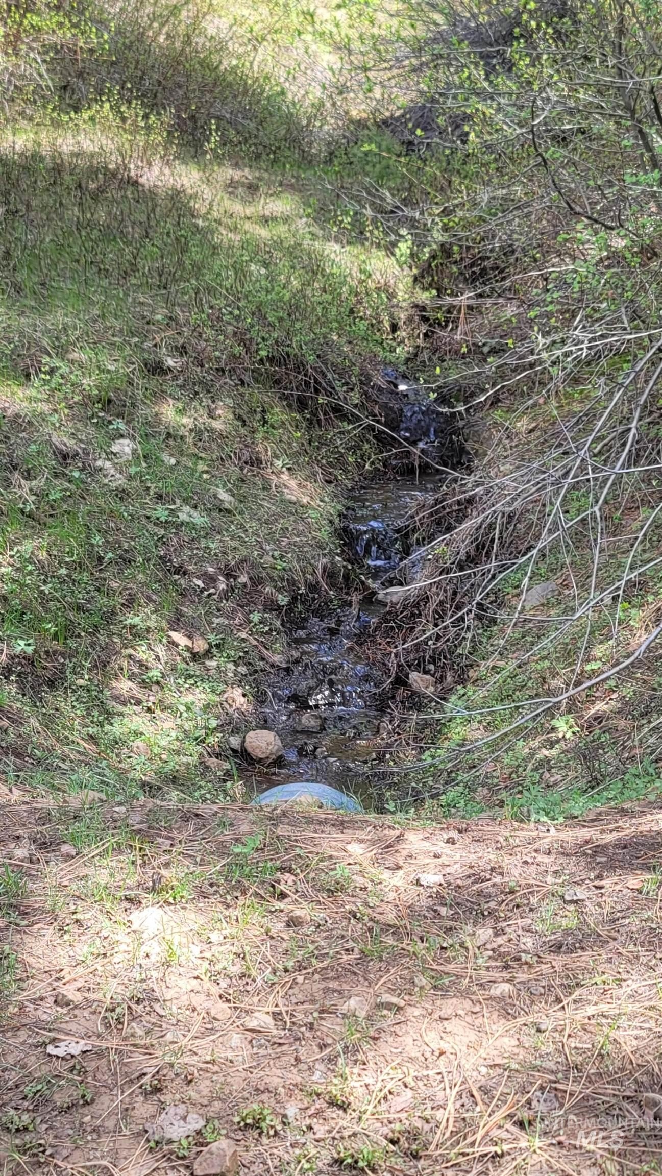 Council, Idaho, 83612, United States, 3 Bedrooms Bedrooms, ,2 BathroomsBathrooms,Residential,For Sale,1974827