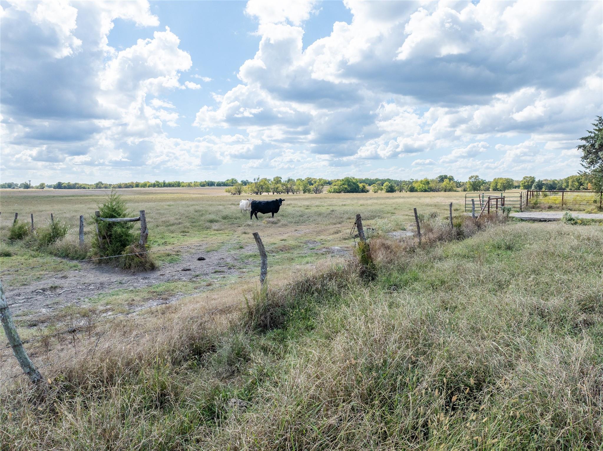 Blossom, Texas, 75416, United States, ,Residential,For Sale,1977937