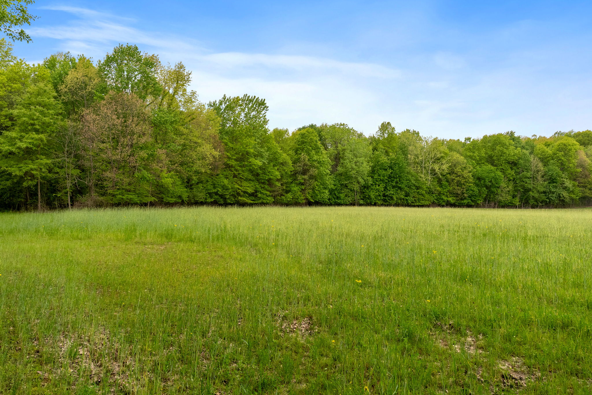 Rosedale, Indiana, 47874, United States, ,Land,For Sale,2049036