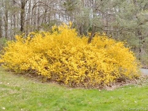 New Paltz, New York, 12561, United States, 3 Bedrooms Bedrooms, ,3 BathroomsBathrooms,Residential,For Sale,1975428