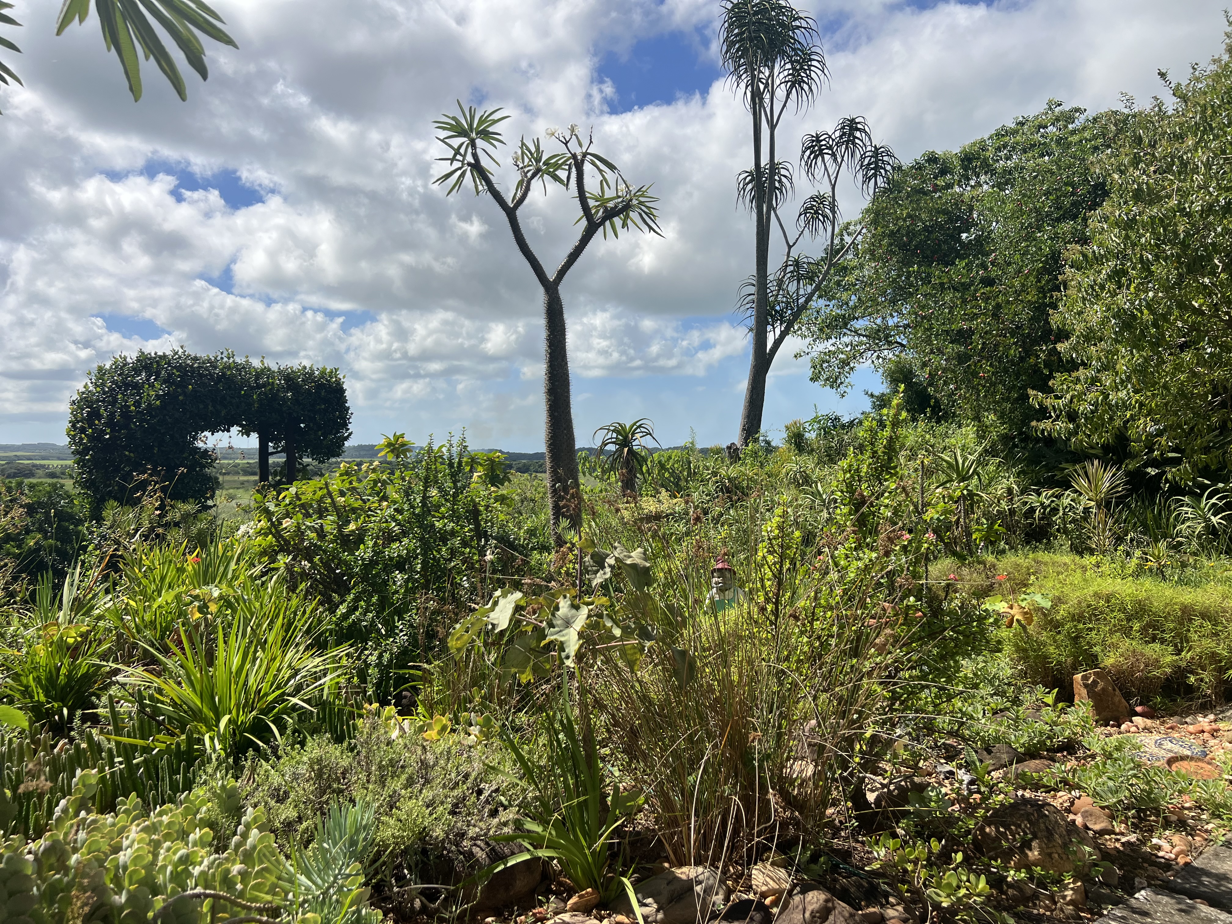  Meticulously maintained home with thoughtfully curated living spaces - 物件實景