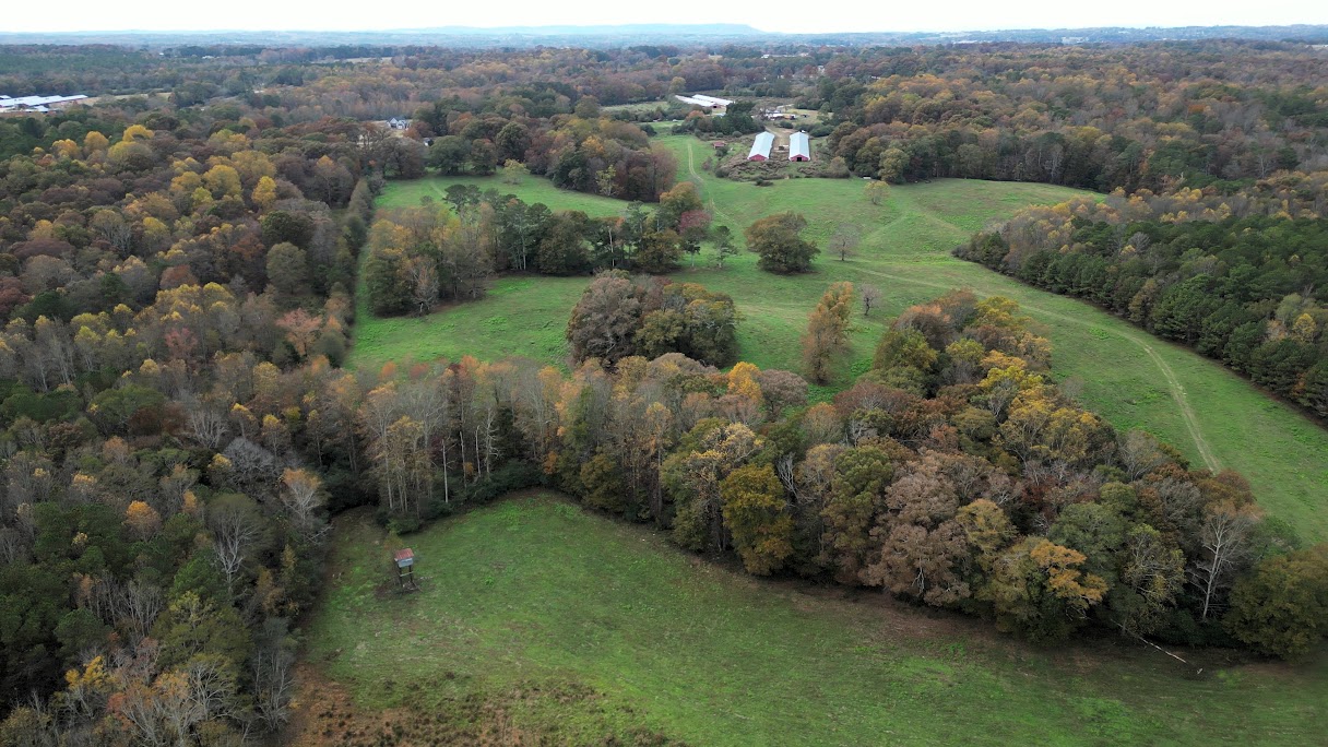 Bowdon, Georgia, 30108, United States, ,Land,For Sale,1989904