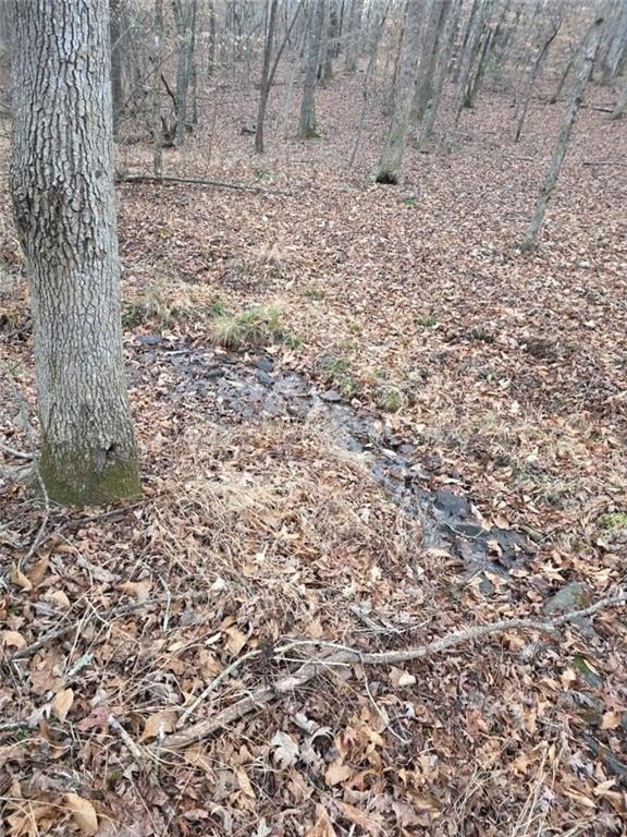 Talking Rock, Georgia, 30175, United States, 1 Bedroom Bedrooms, ,1 BathroomBathrooms,Residential,For Sale,2005739