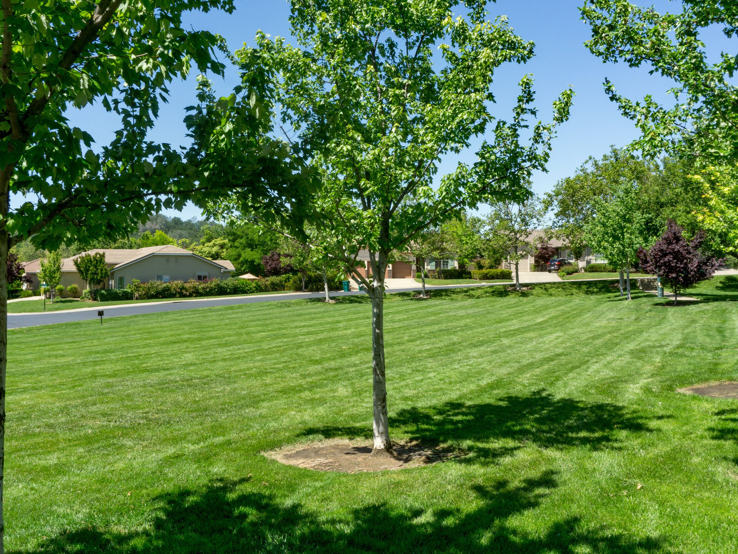  3522 Cabrito Drive, El Dorado Hills, CA 95762 - 物件實景