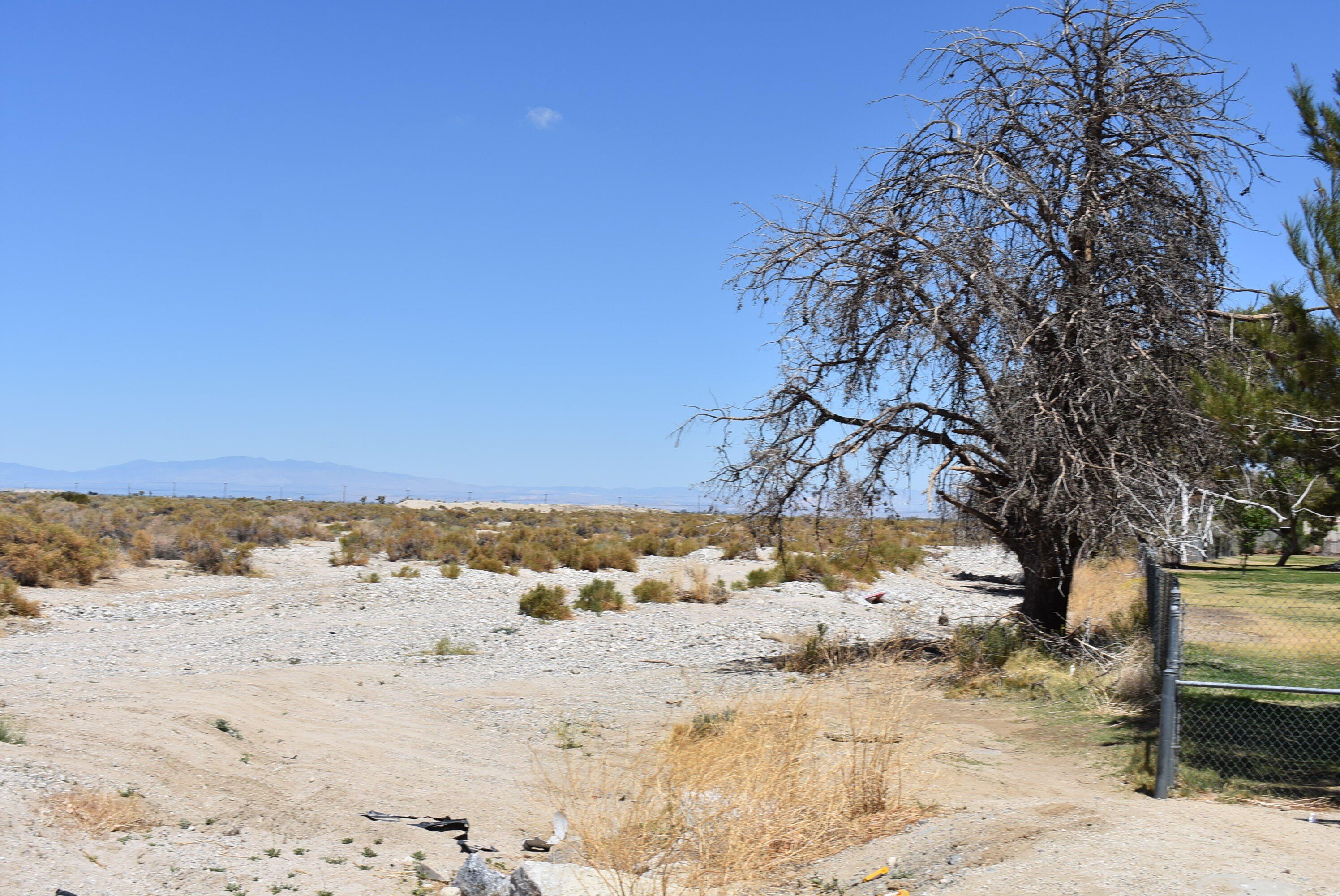 Littlerock, California, 93543, United States, ,Residential,For Sale,1921931