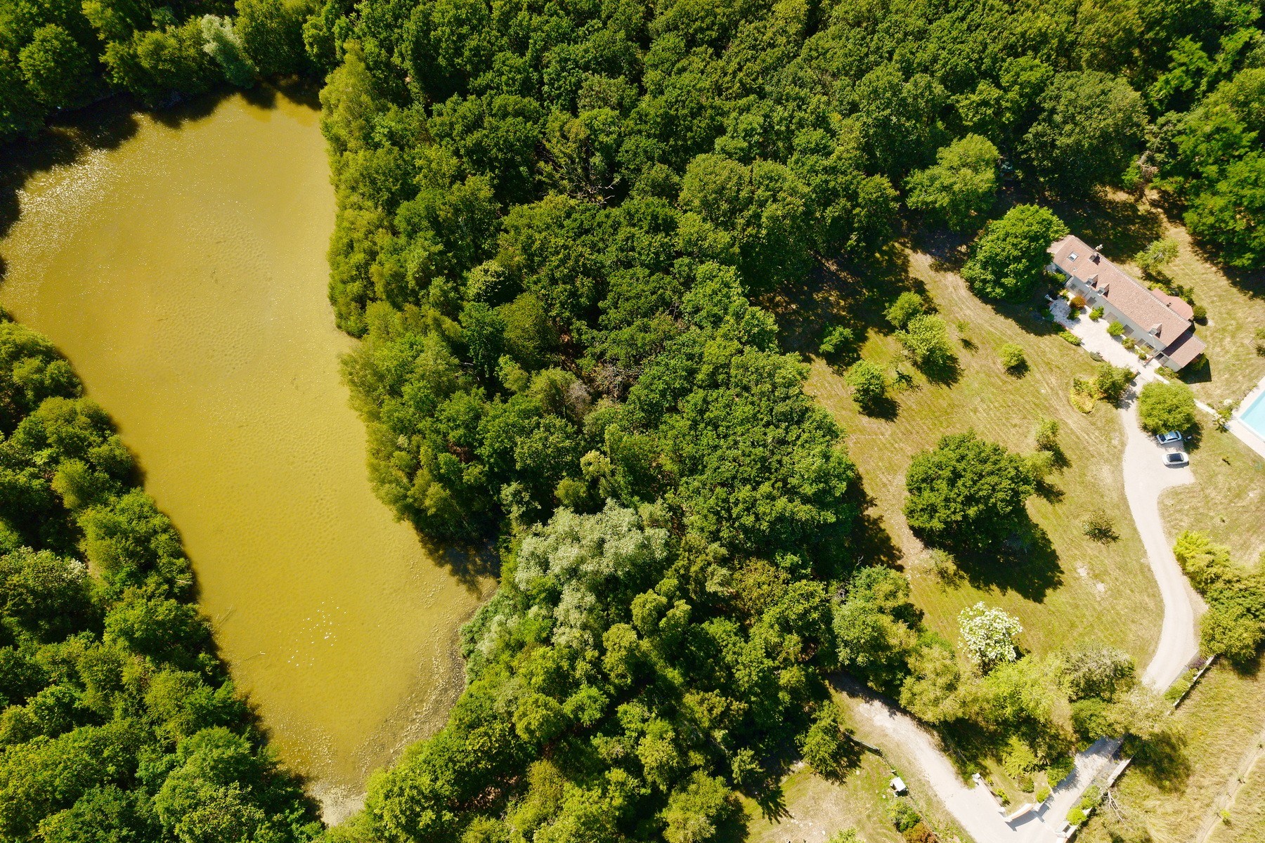  Charming 220 sqm countryhouse  5 bedrooms  pool  8,000 sqm pond  3.5 ha lan… - 物件實景