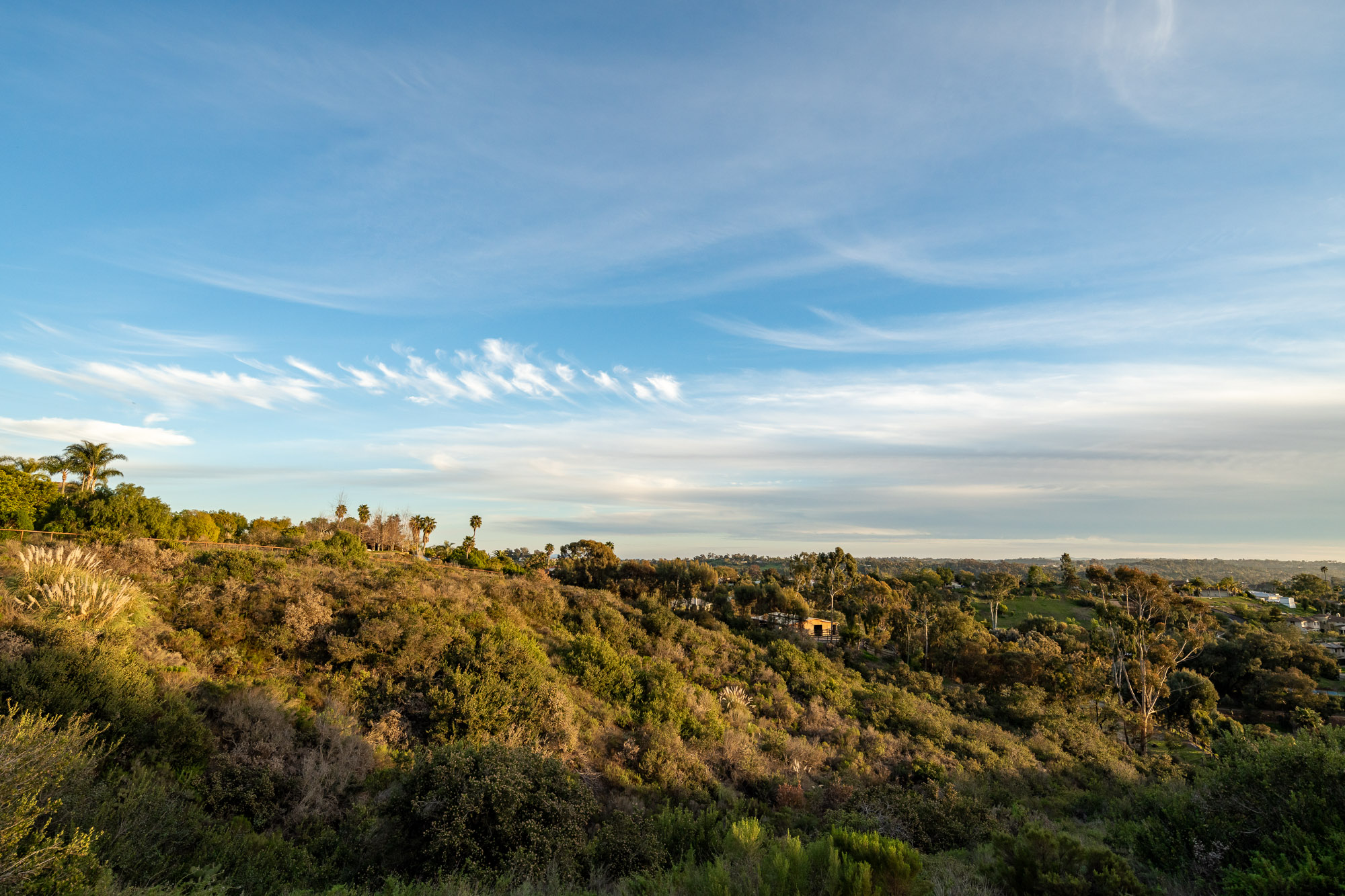  7992 Paseo Esmerado, Carlsbad, CA 92009 - 物件實景