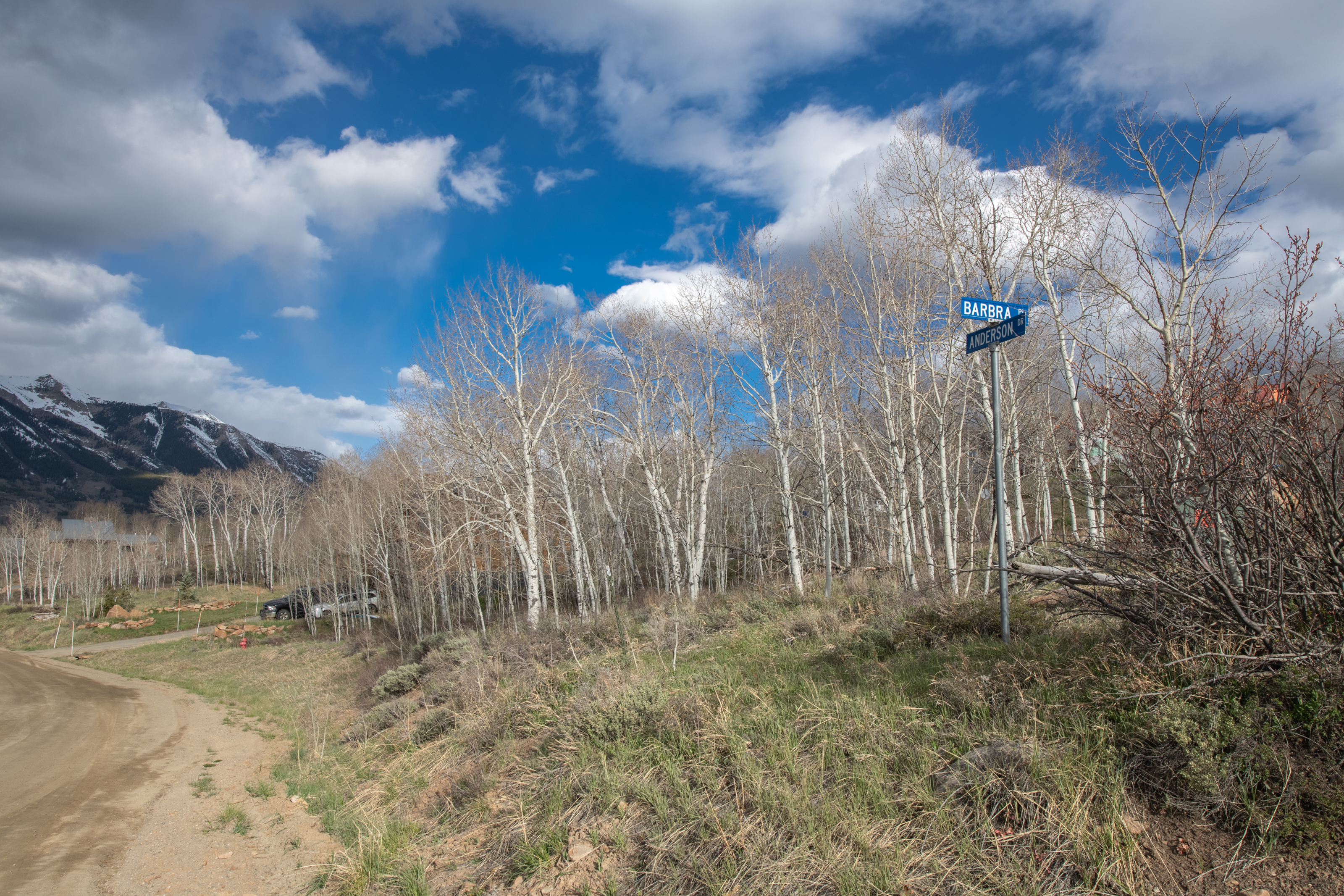  Quality Building Site in Crested Butte South - 物件實景