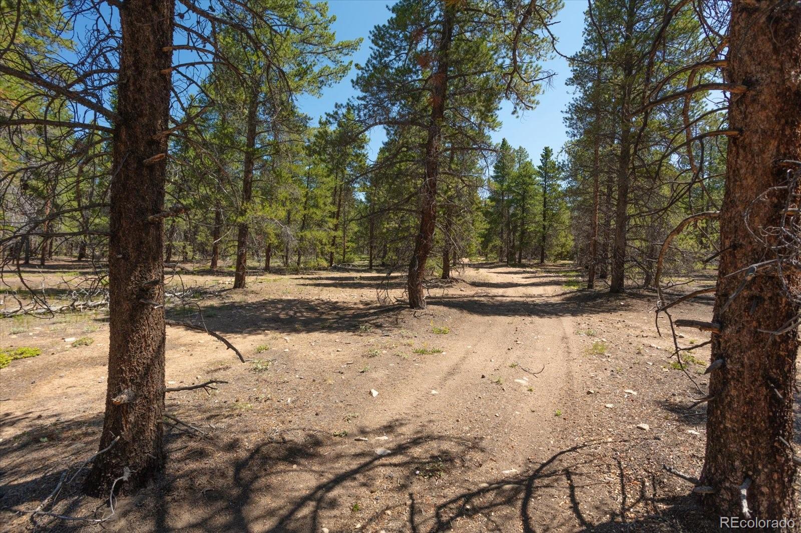 Leadville, Colorado, 80461, United States, ,Land,For Sale,1978663